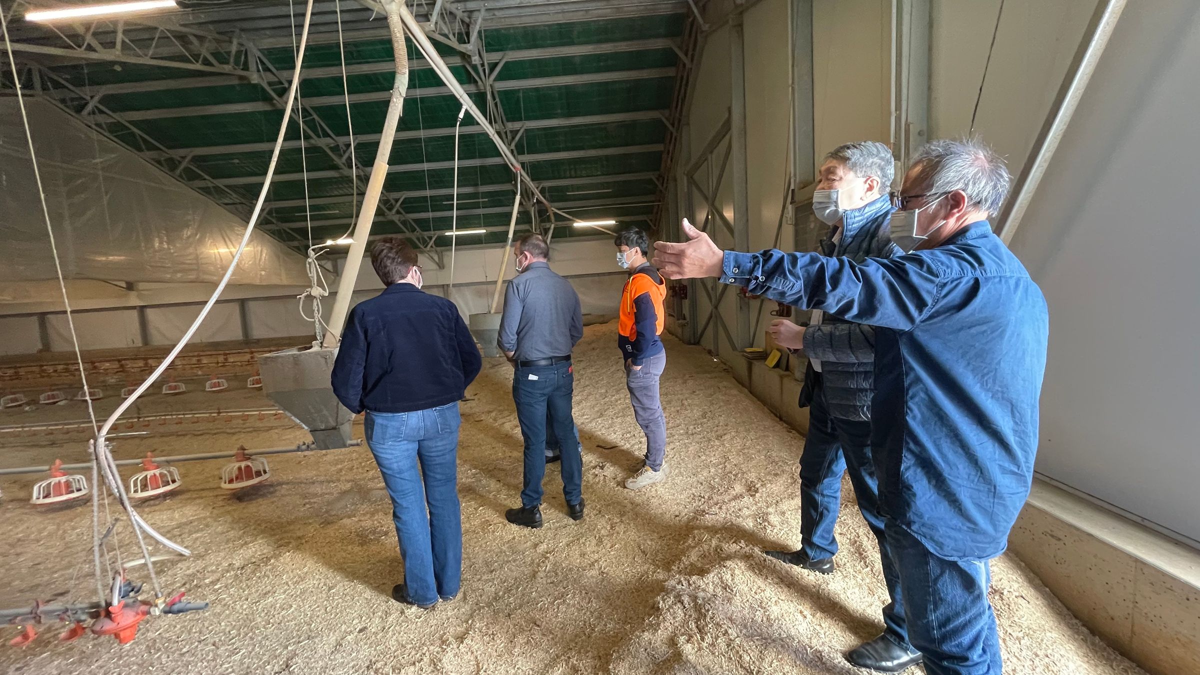 S&N Web Development's image