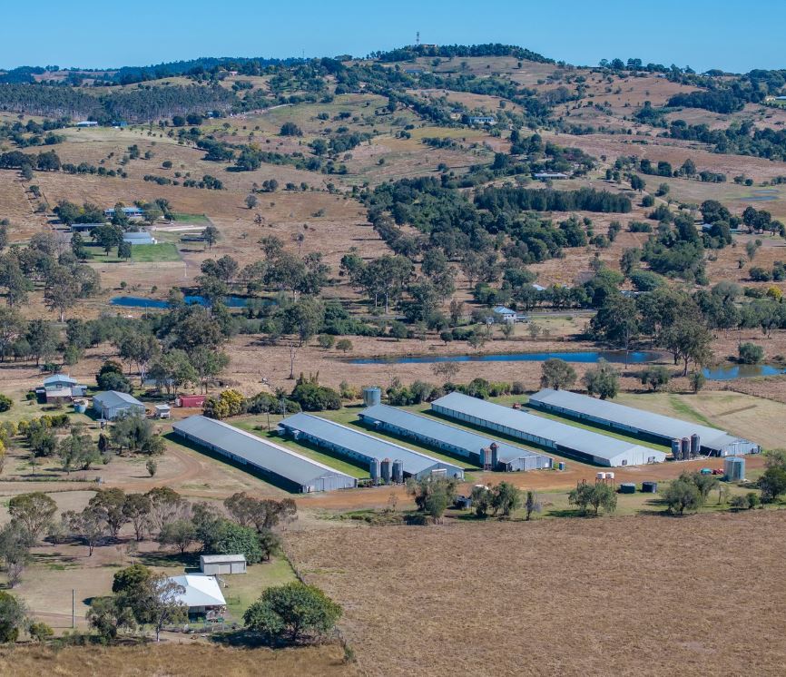 S&N Web Development's image