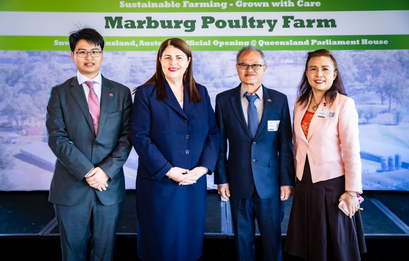 S&N Web Development's image