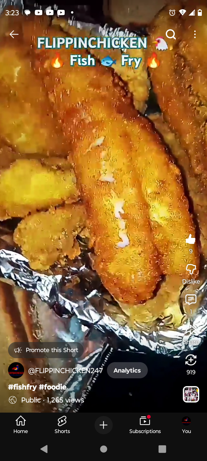 FLIPPINCHICKEN 's image