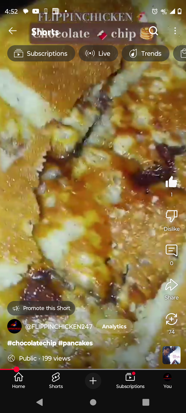 FLIPPINCHICKEN 's image