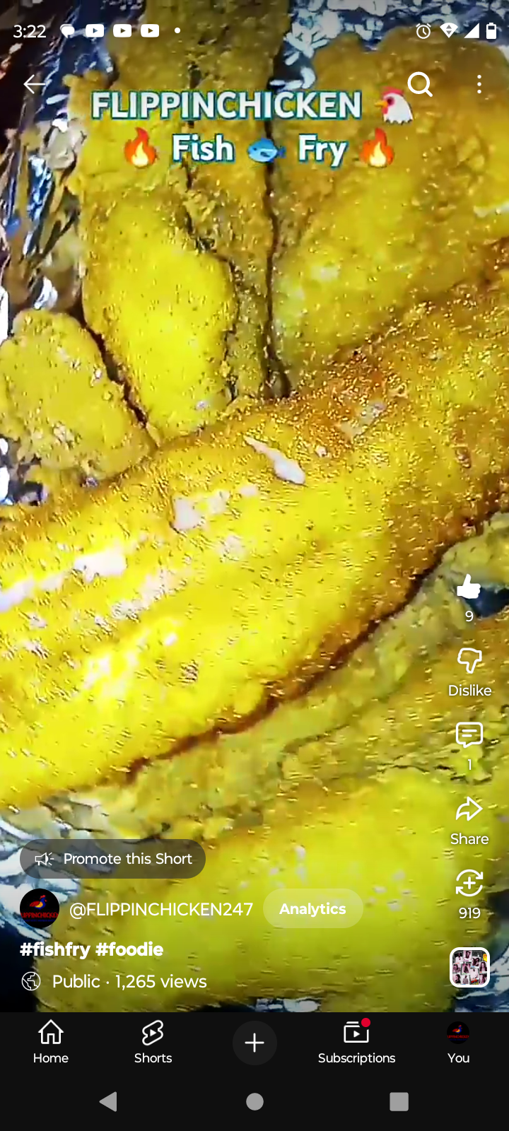 FLIPPINCHICKEN 's image