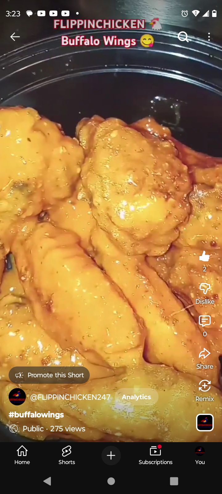 FLIPPINCHICKEN 's image