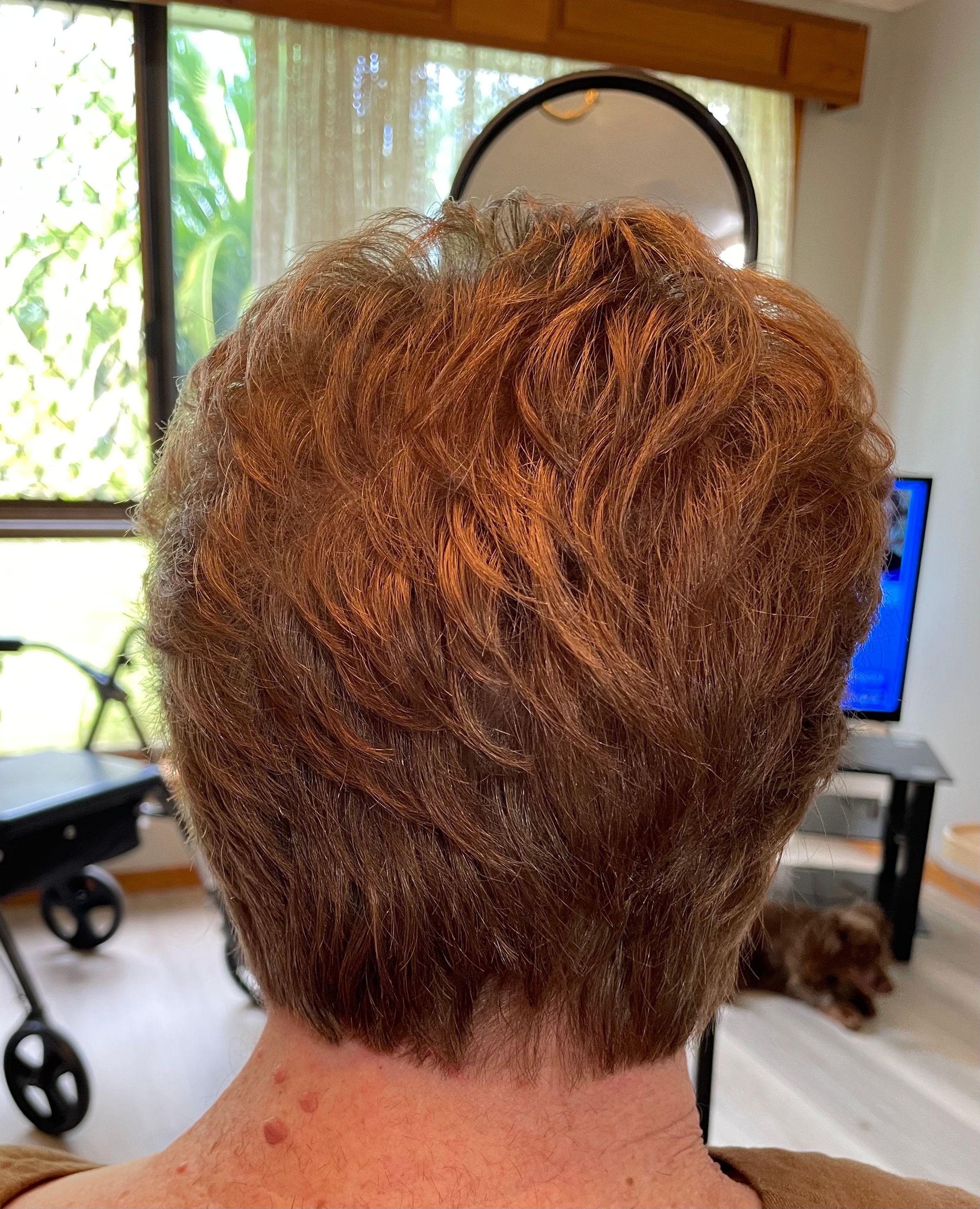 Short red hair cut, express haircut, express hair trim, copper hair, blow dry, mobile hairdresser, Hervey Bay hairdresser