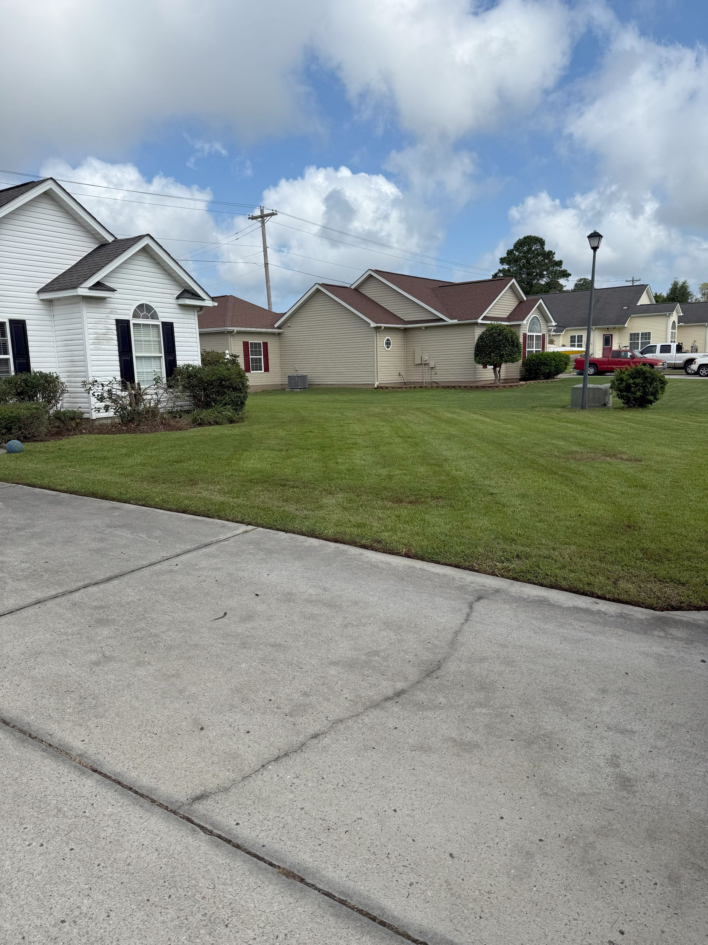 Seaside Greenery Coastal Landscaping - Myrtle Beach, SC's image