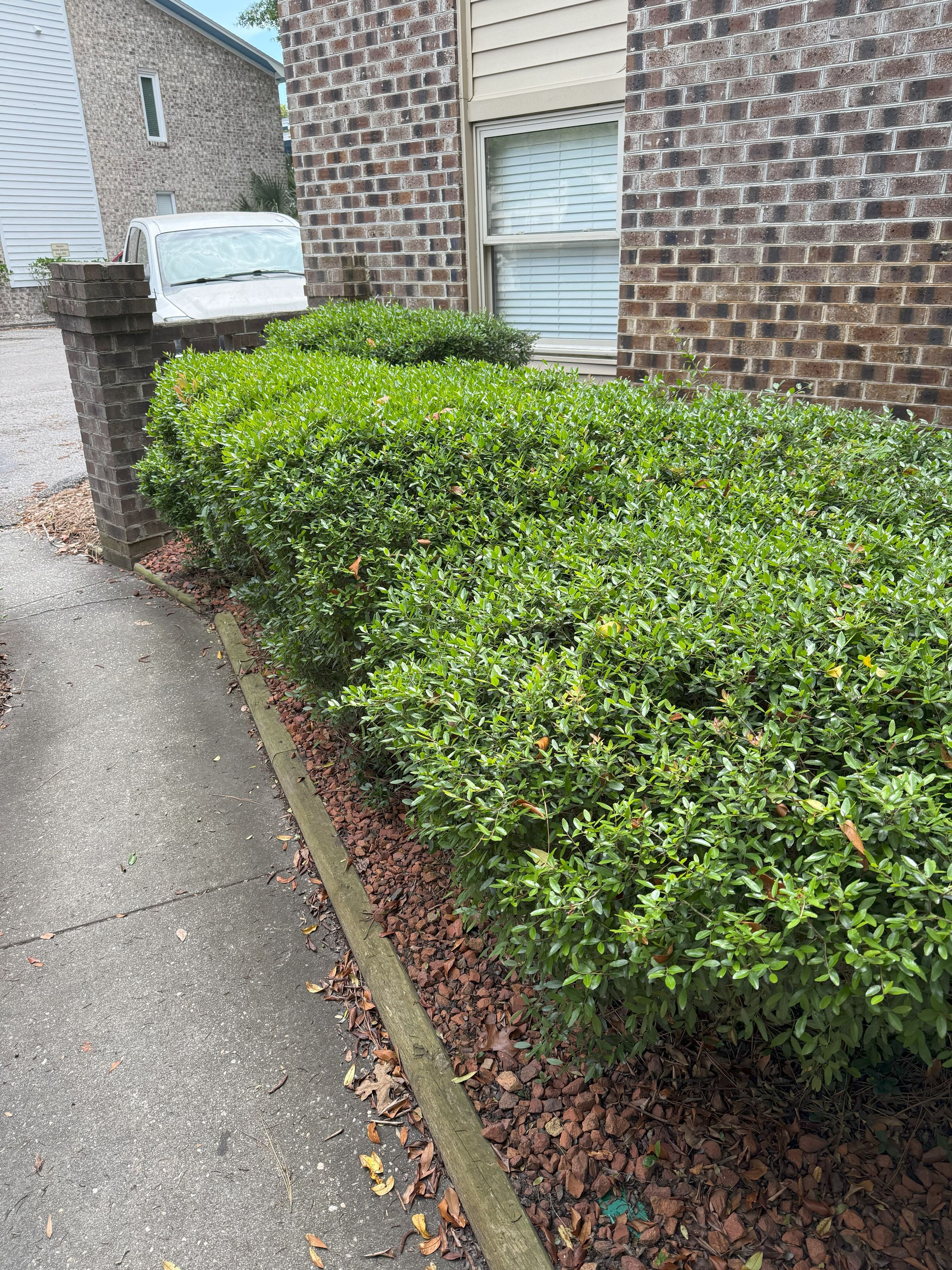 Seaside Greenery Coastal Landscaping - Myrtle Beach, SC's image