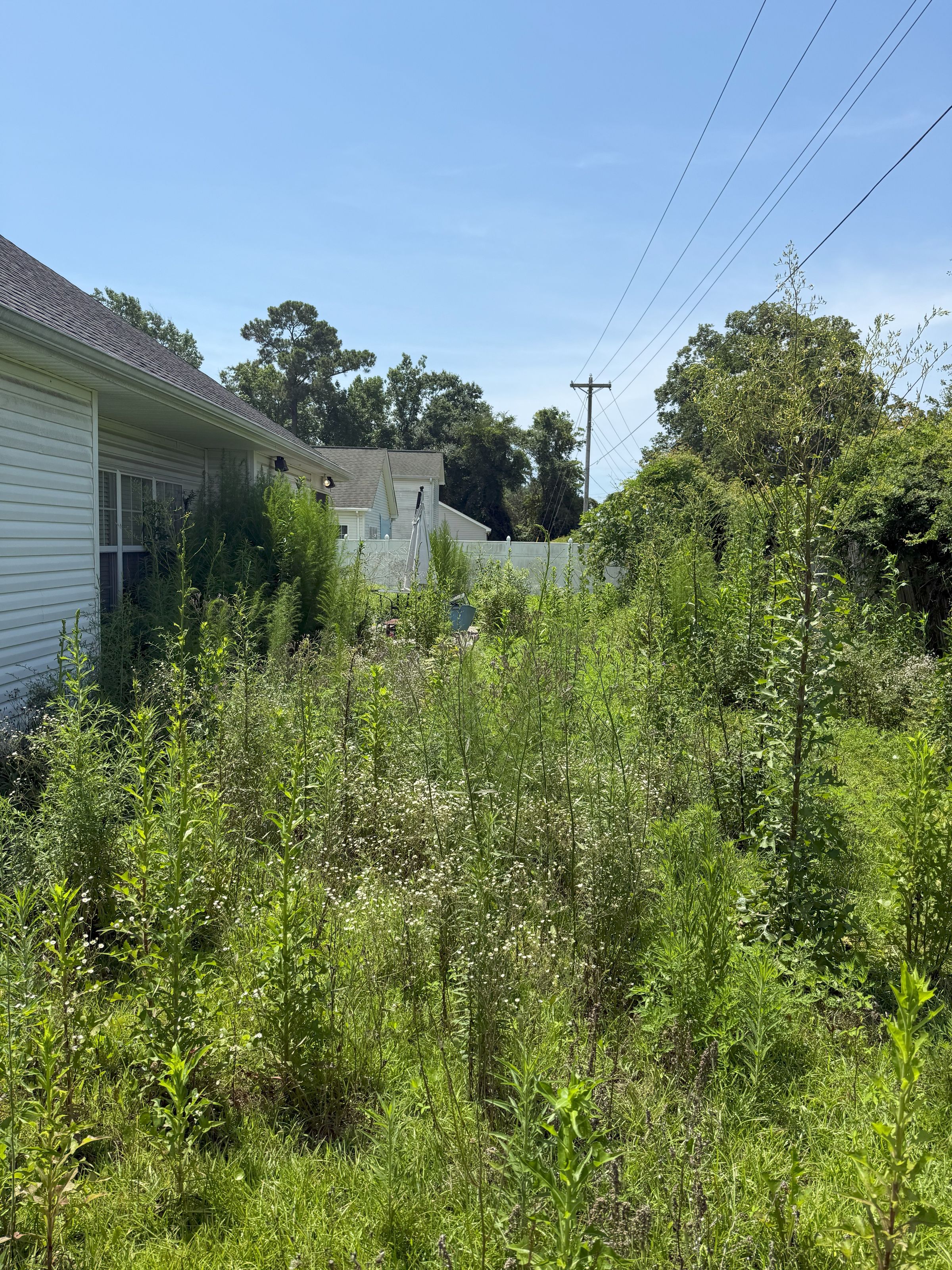 Seaside Greenery Coastal Landscaping - Myrtle Beach, SC's image