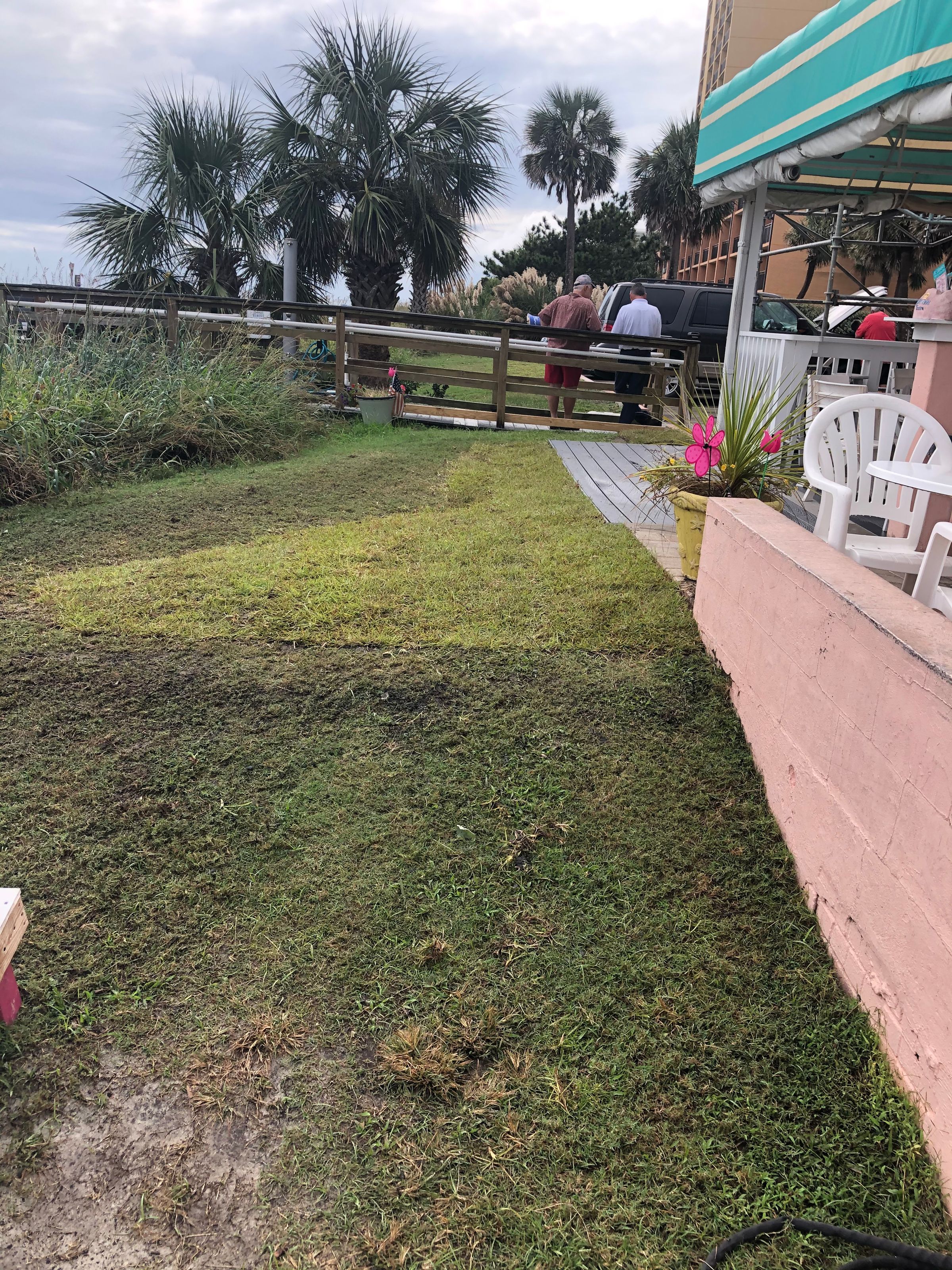 Seaside Greenery Coastal Landscaping - Myrtle Beach, SC's image