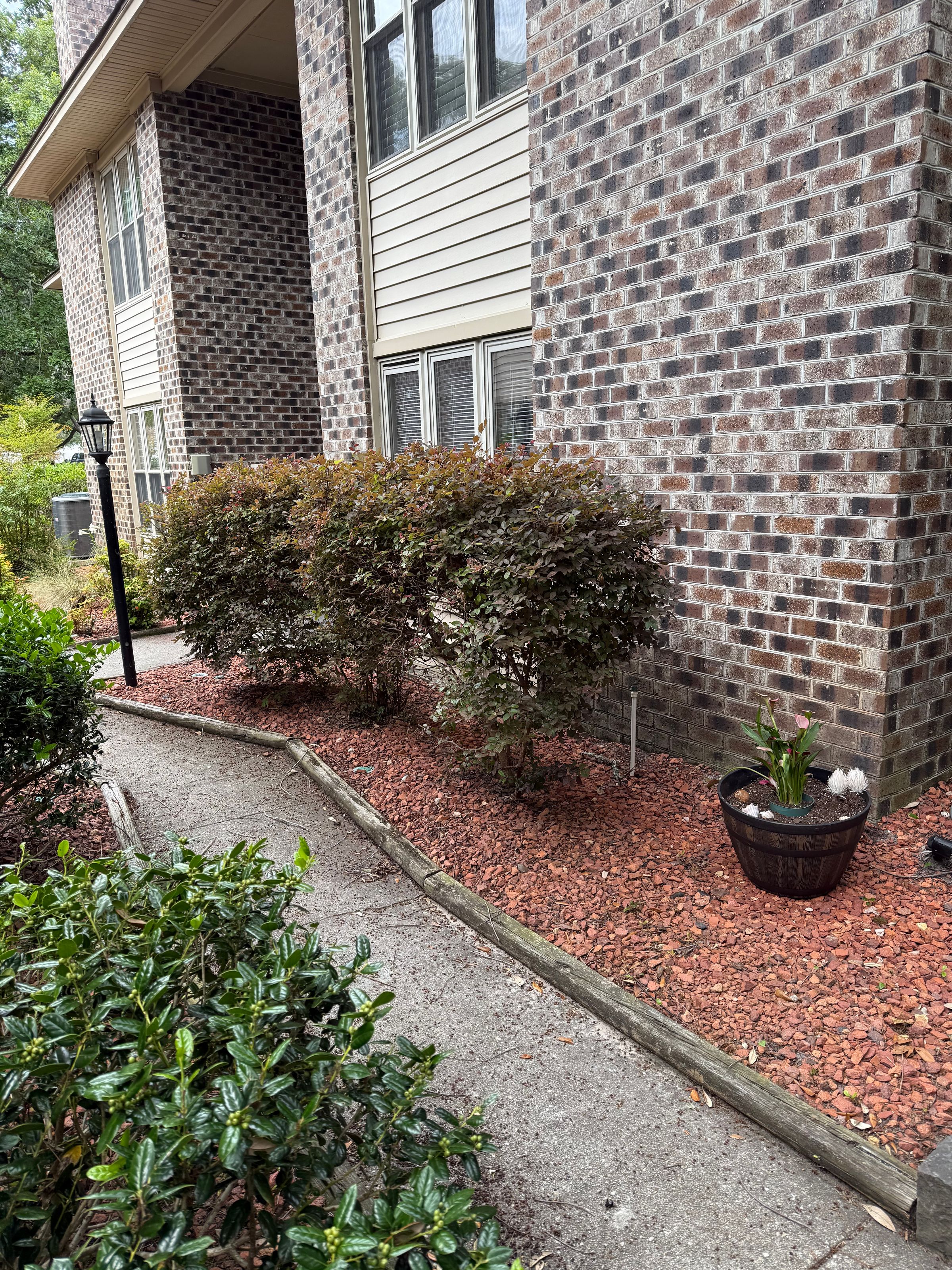 Seaside Greenery Coastal Landscaping - Myrtle Beach, SC's image