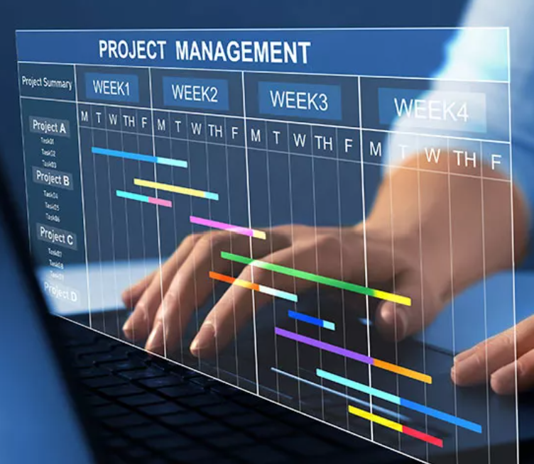 project management
