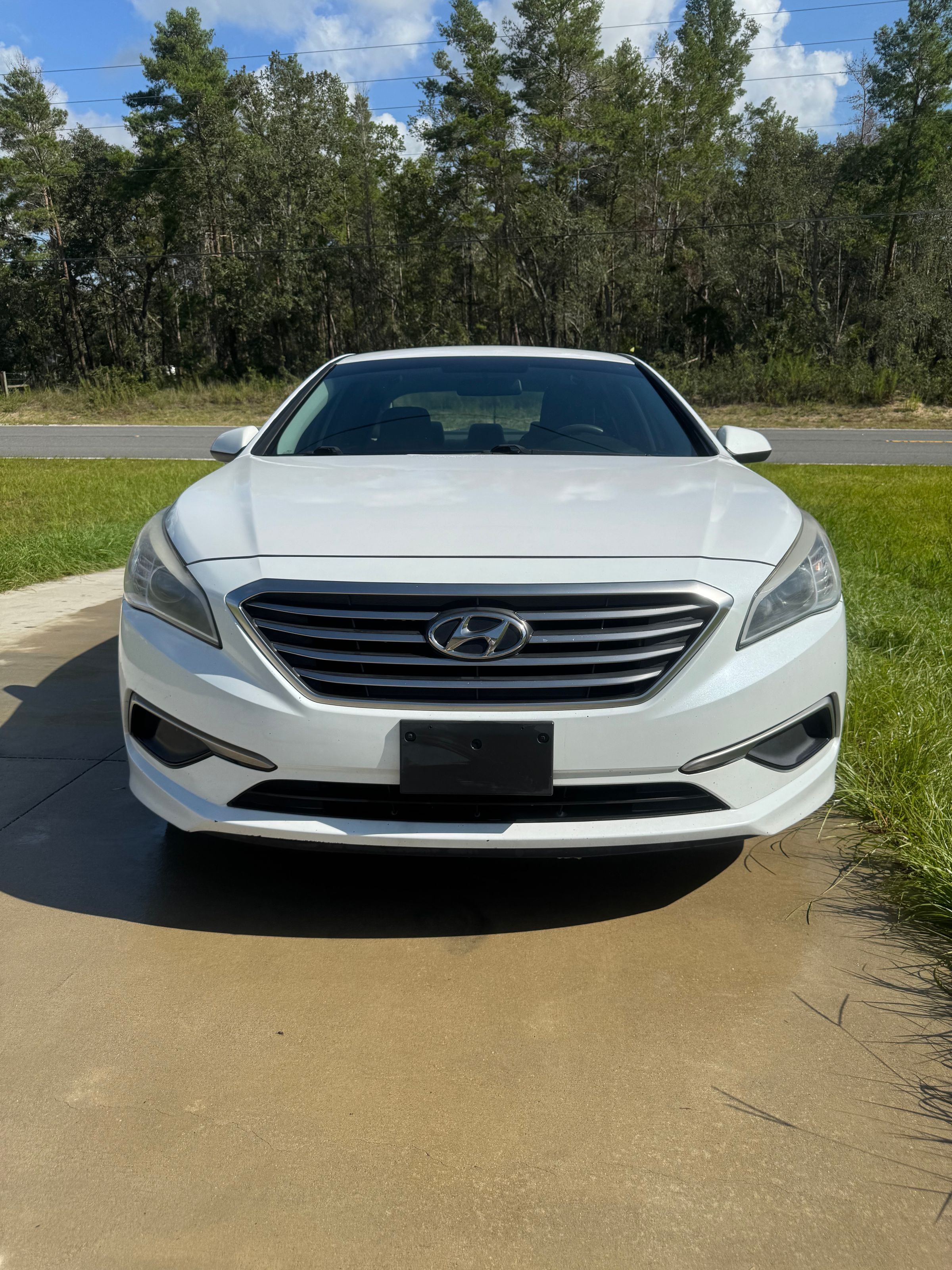 Collier's Car Care's image