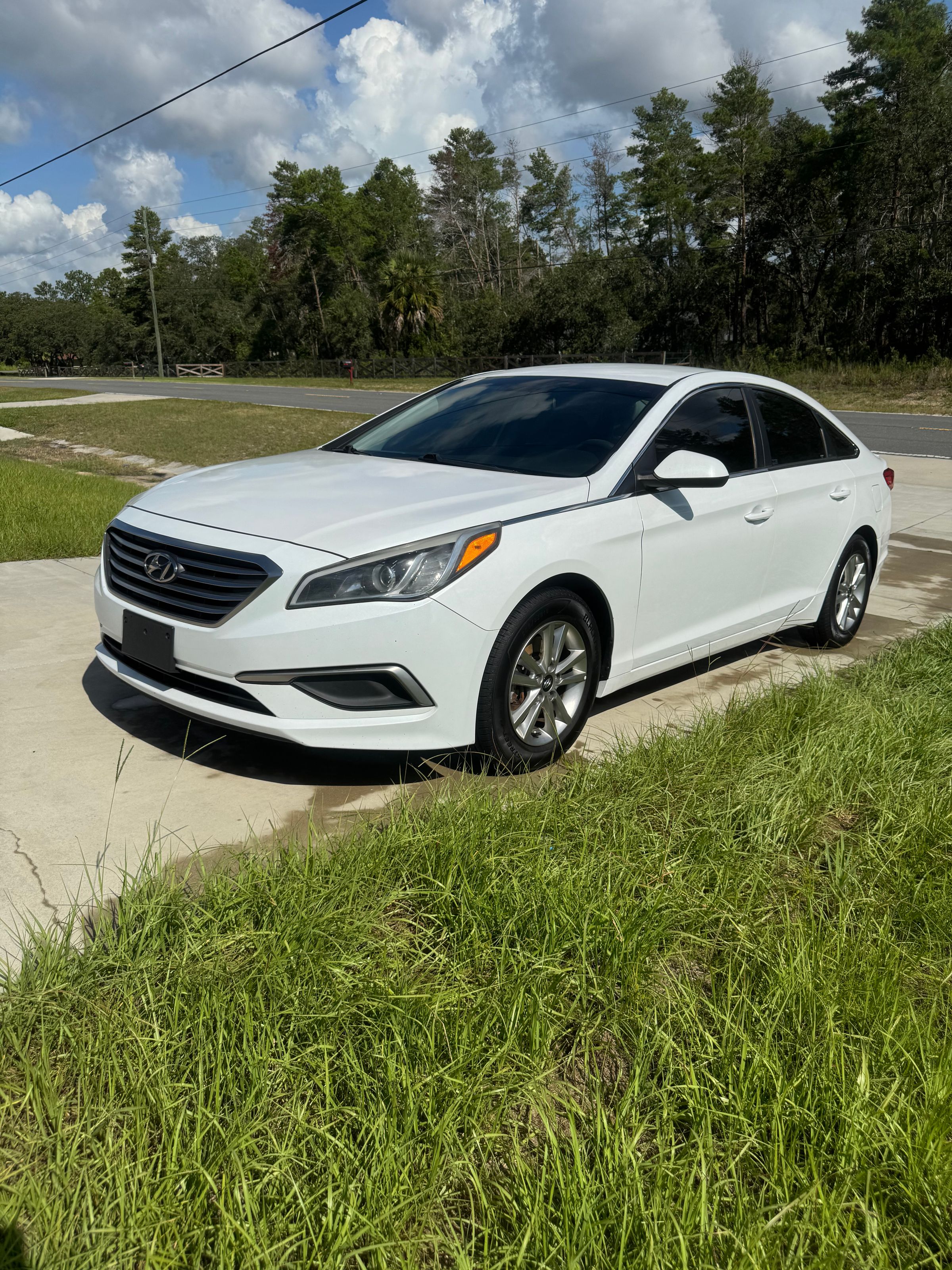 Collier's Car Care's image