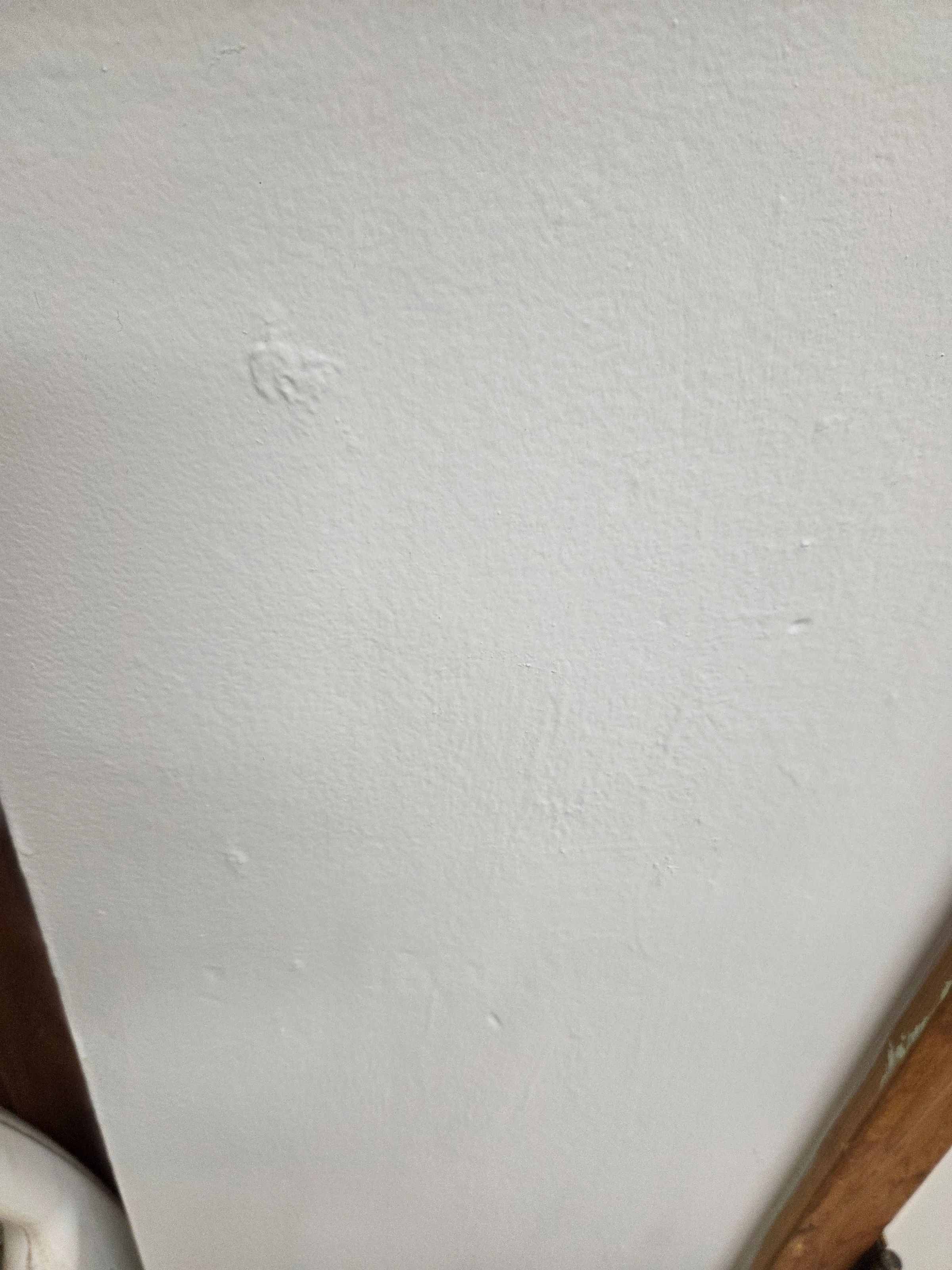 Clean Sweep 's image