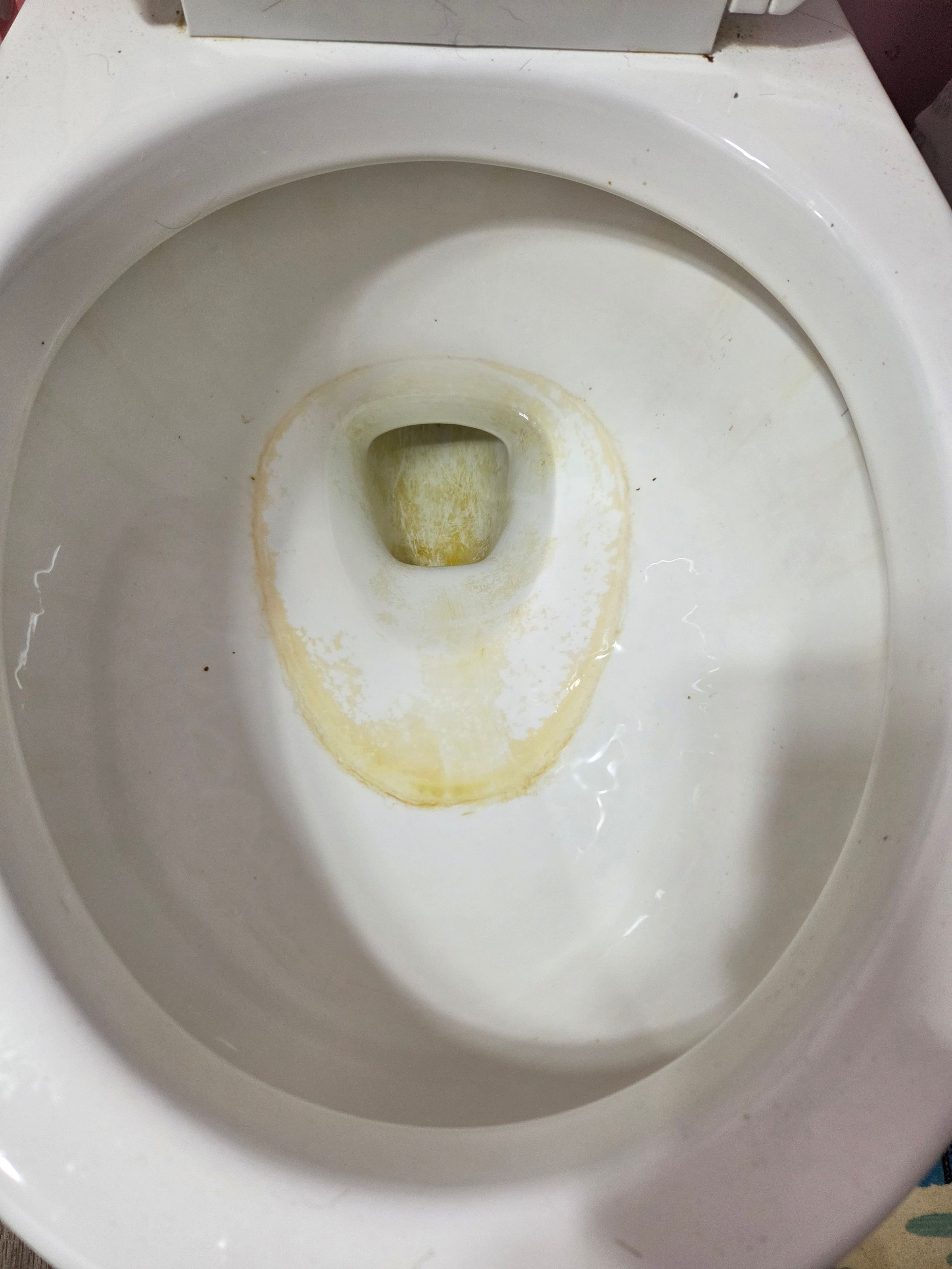 Clean Sweep 's image