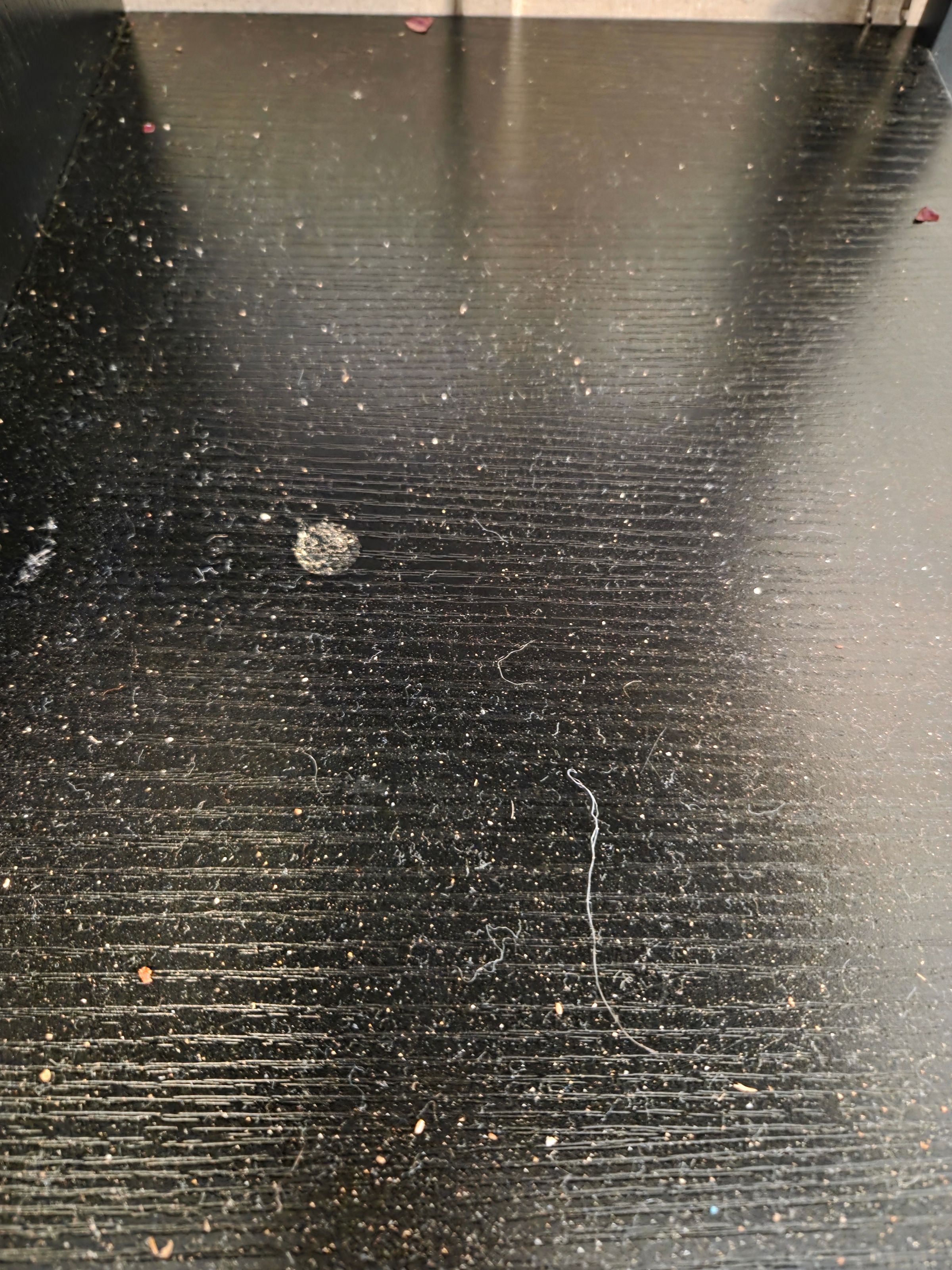 Clean Sweep 's image