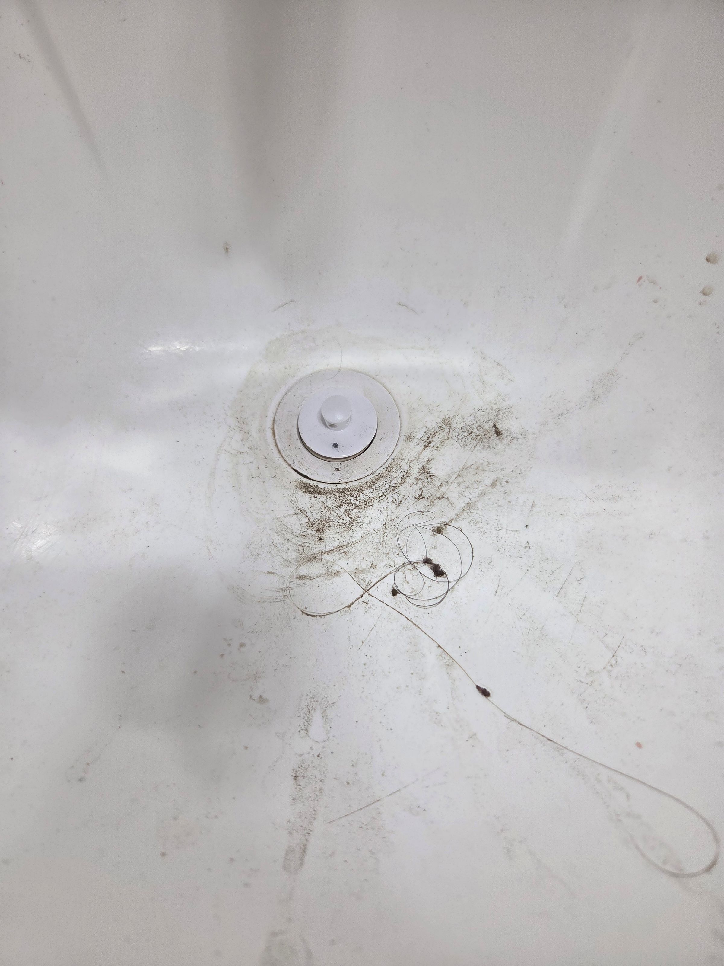 Clean Sweep 's image