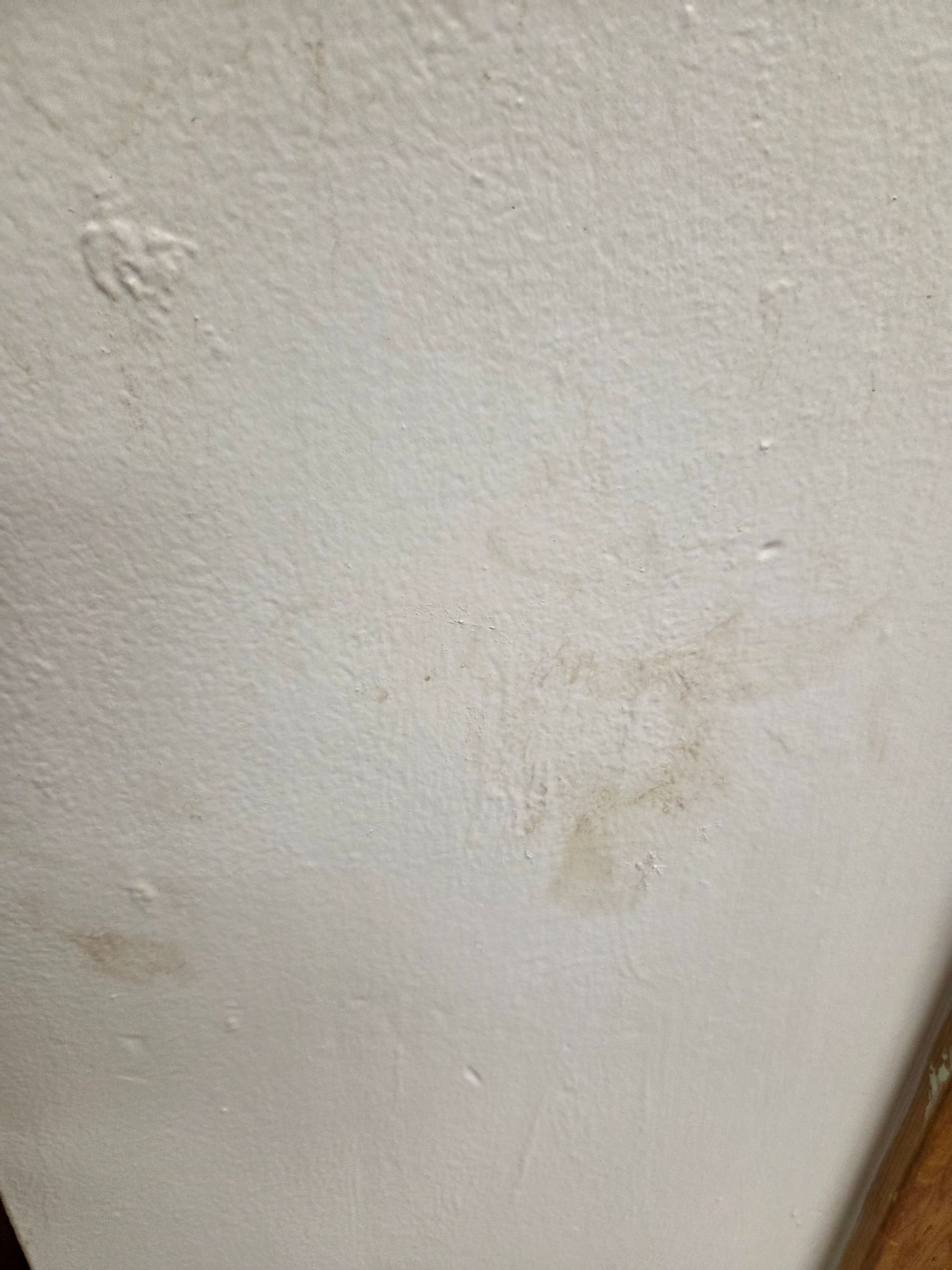 Clean Sweep 's image