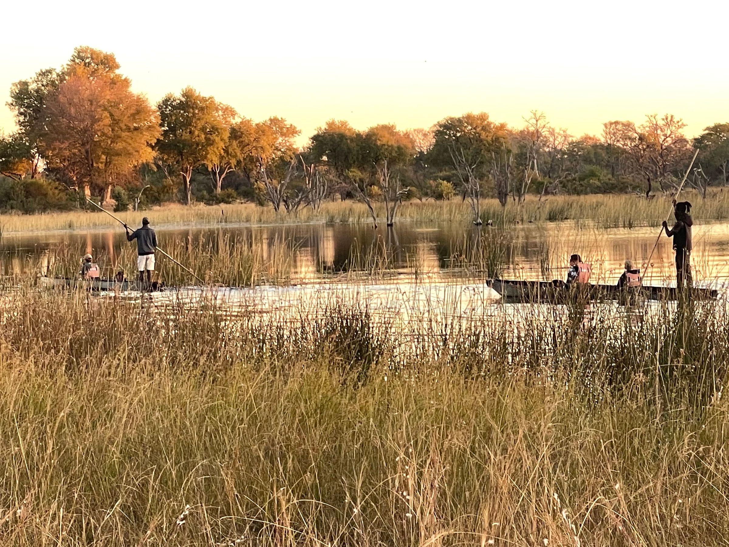 Xamdaroo Camping Resort's image