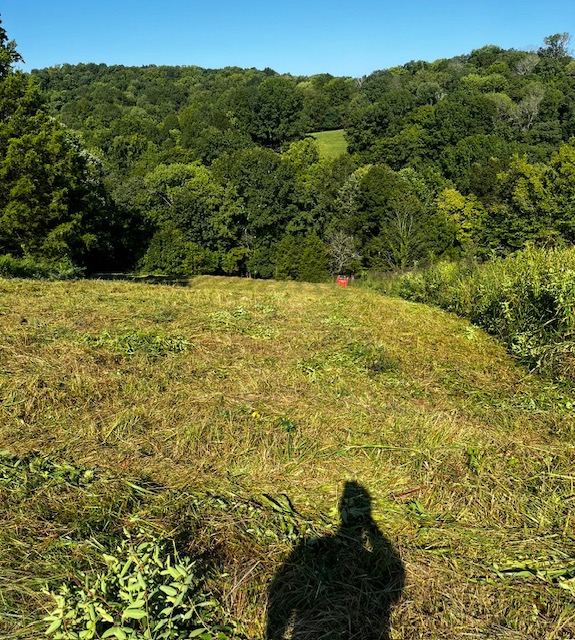 R&J Land Services 's image