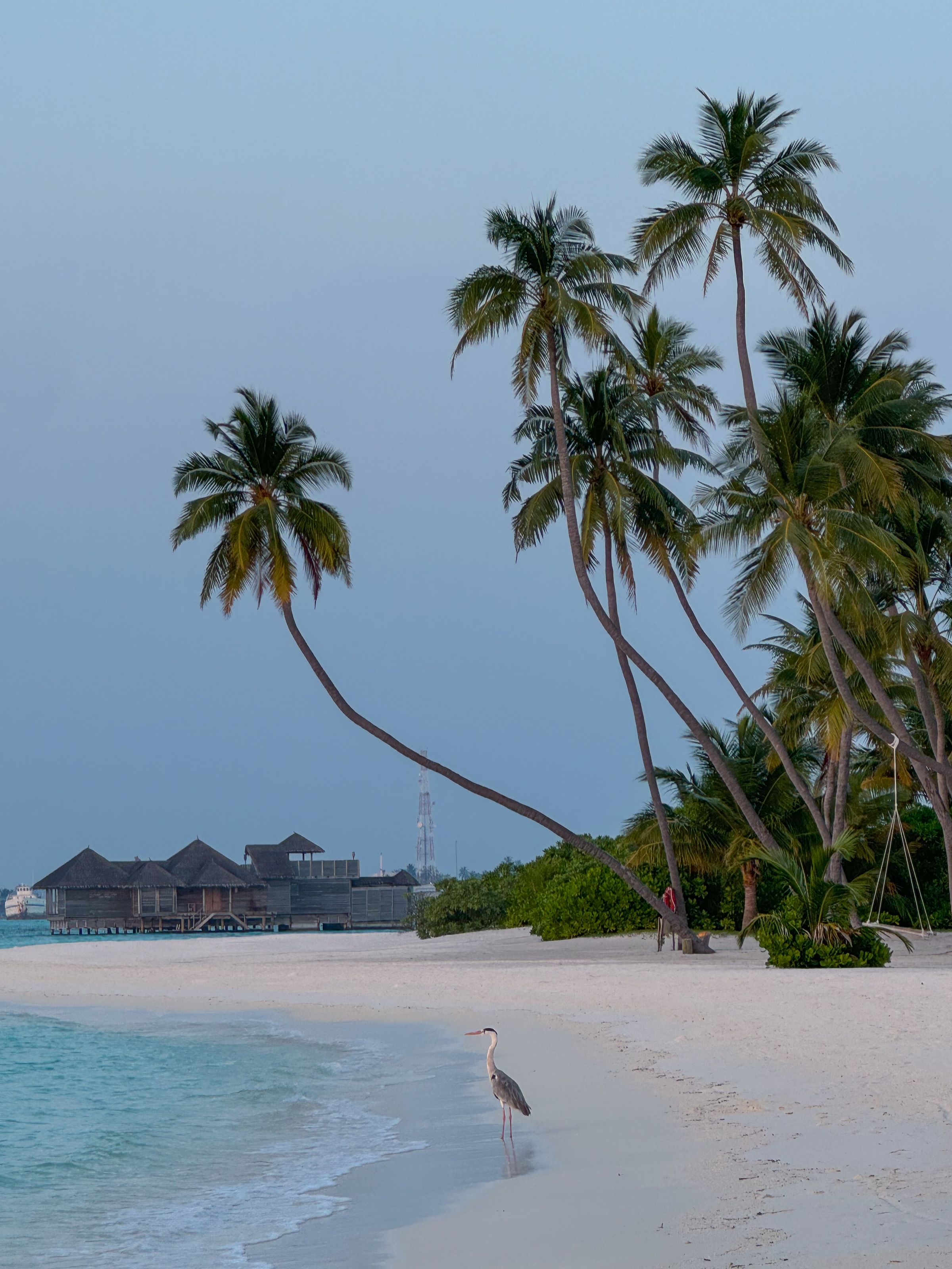 Whisper & Bloom studio's image