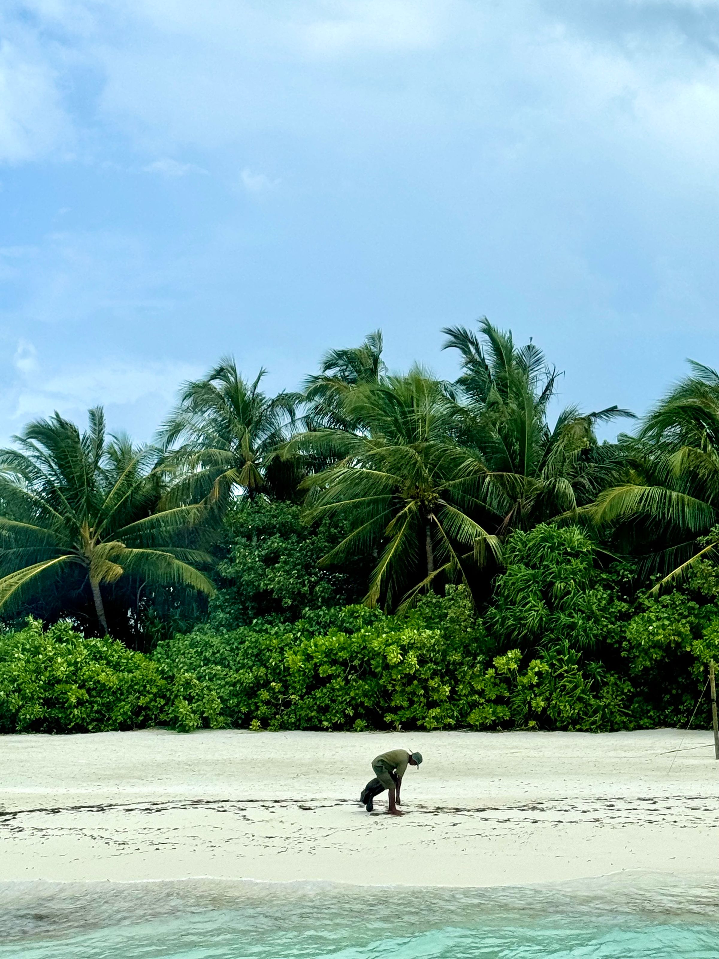 Whisper & Bloom studio's image