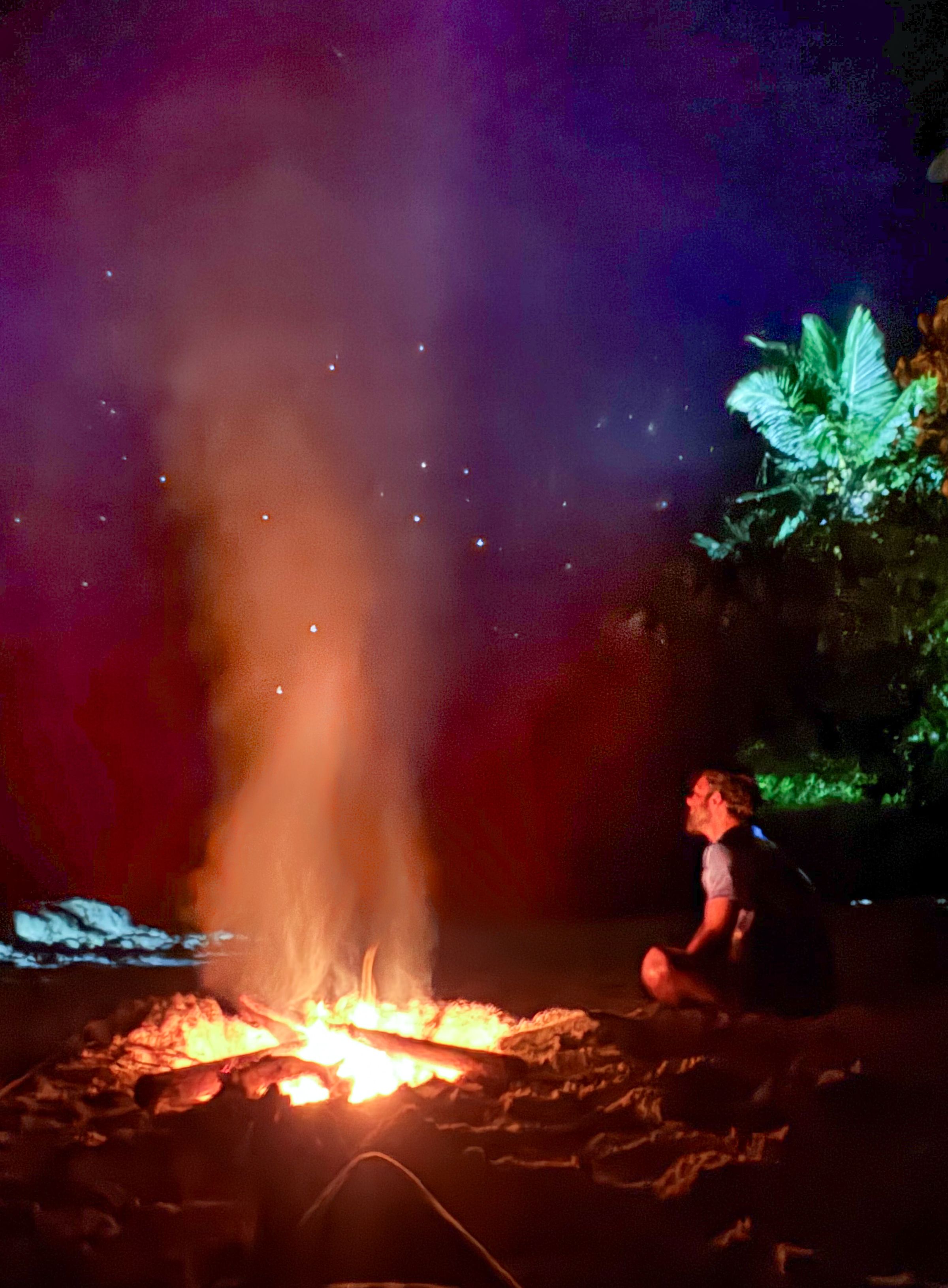 Whisper & Bloom studio's image