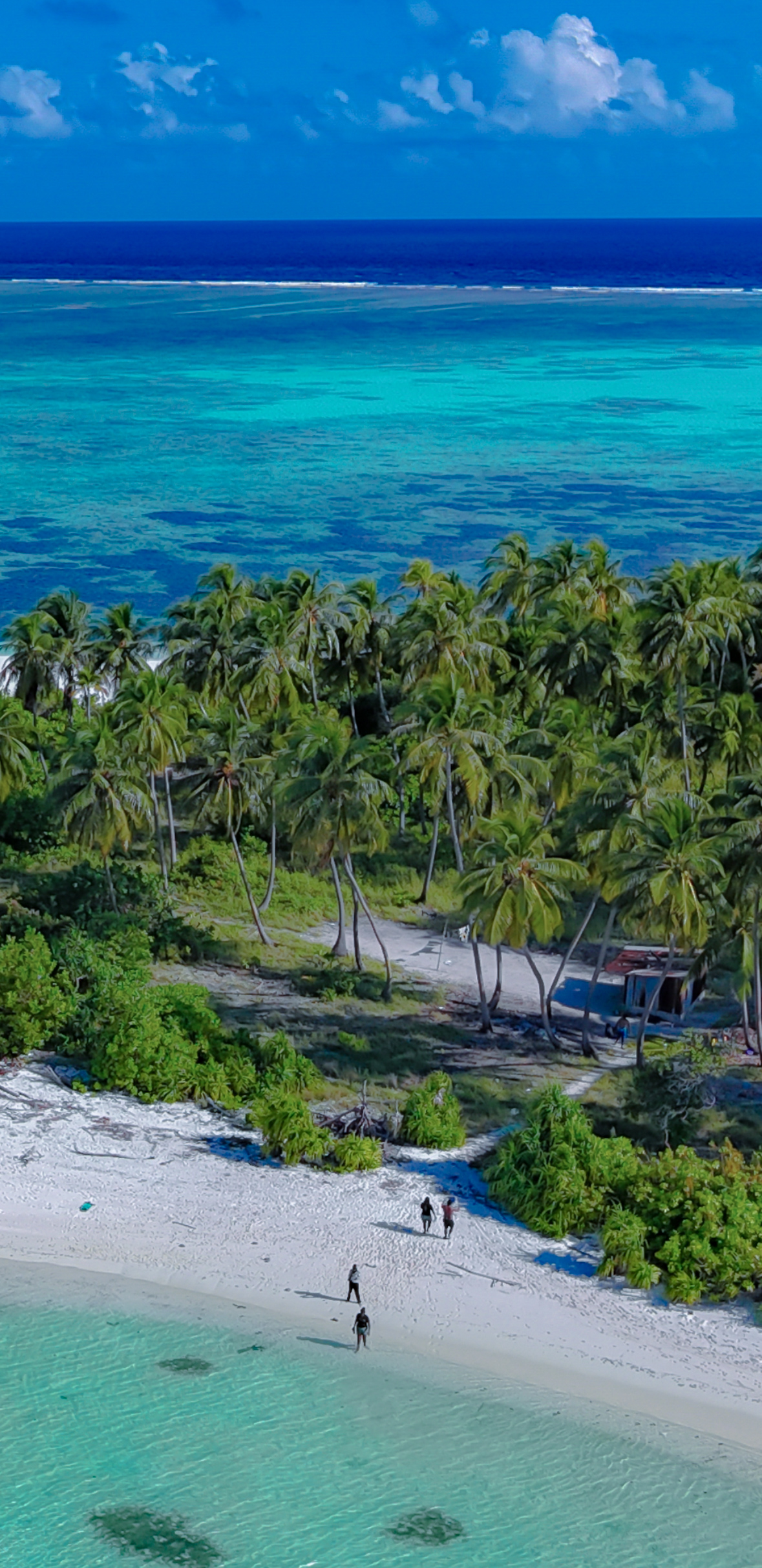 Whisper & Bloom studio's image