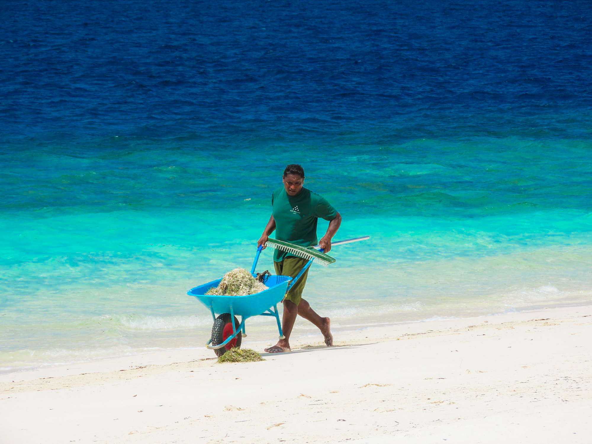 Whisper & Bloom studio's image