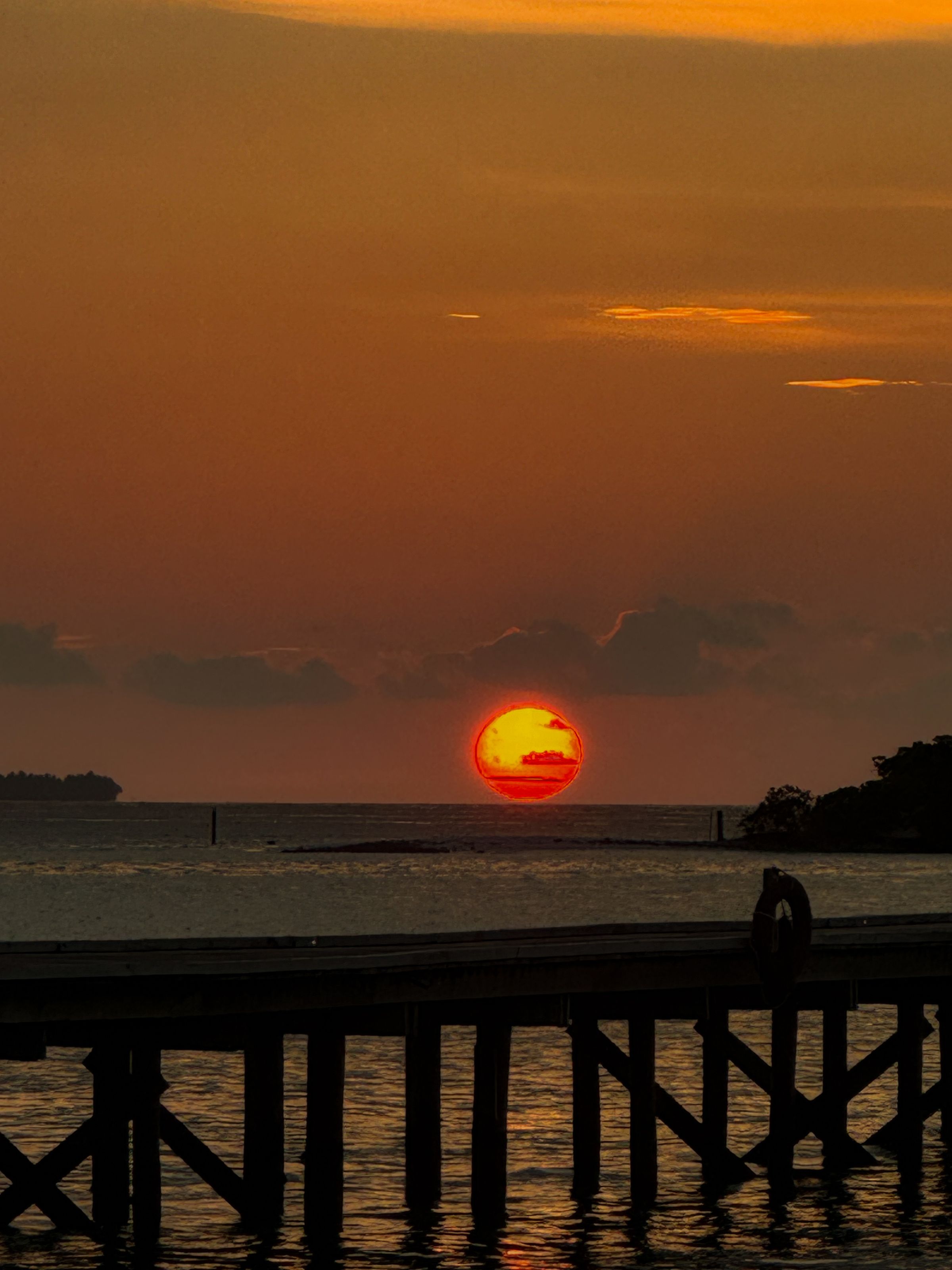 Whisper & Bloom studio's image