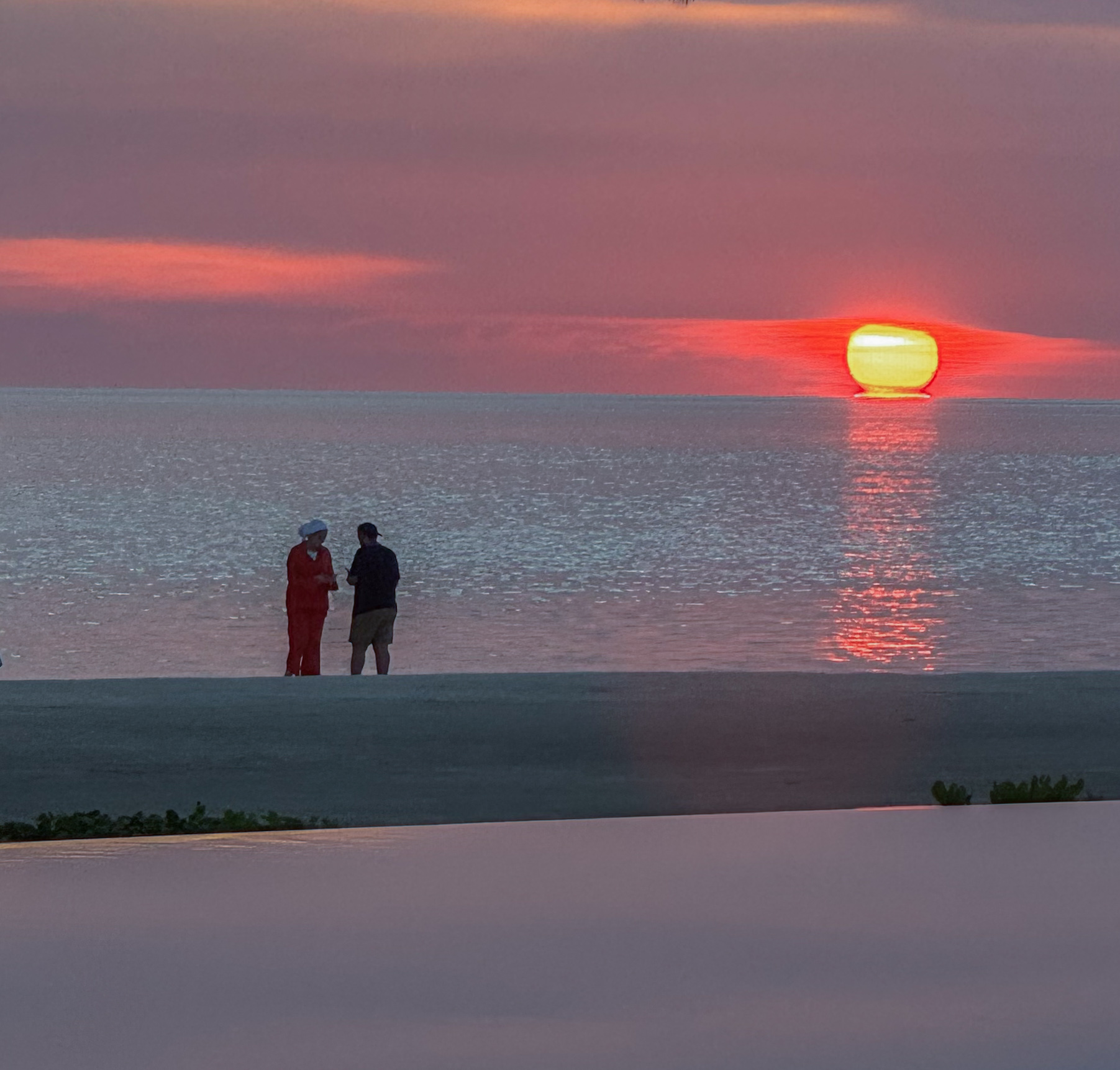 Whisper & Bloom studio's image