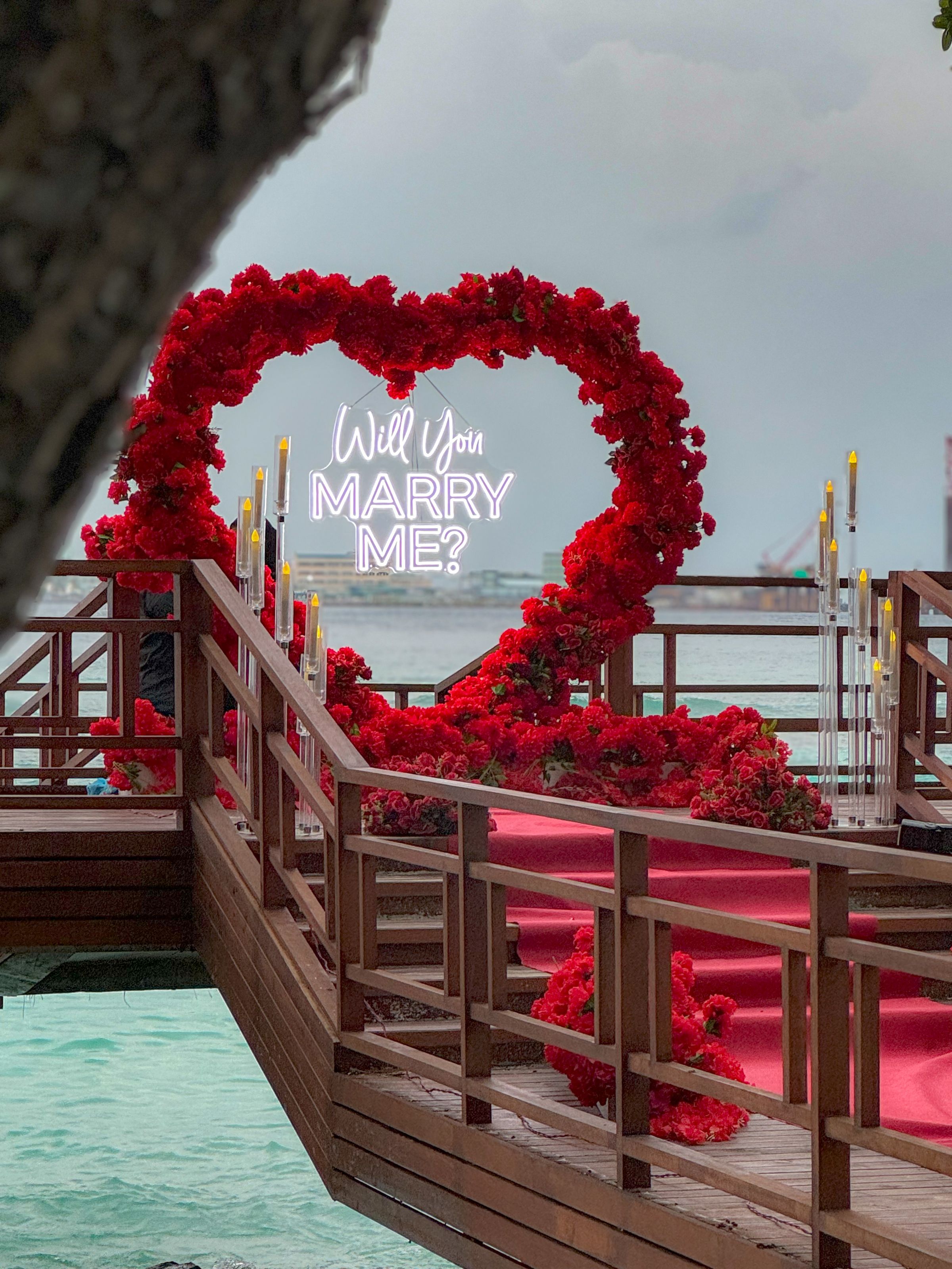 Whisper & Bloom studio's image