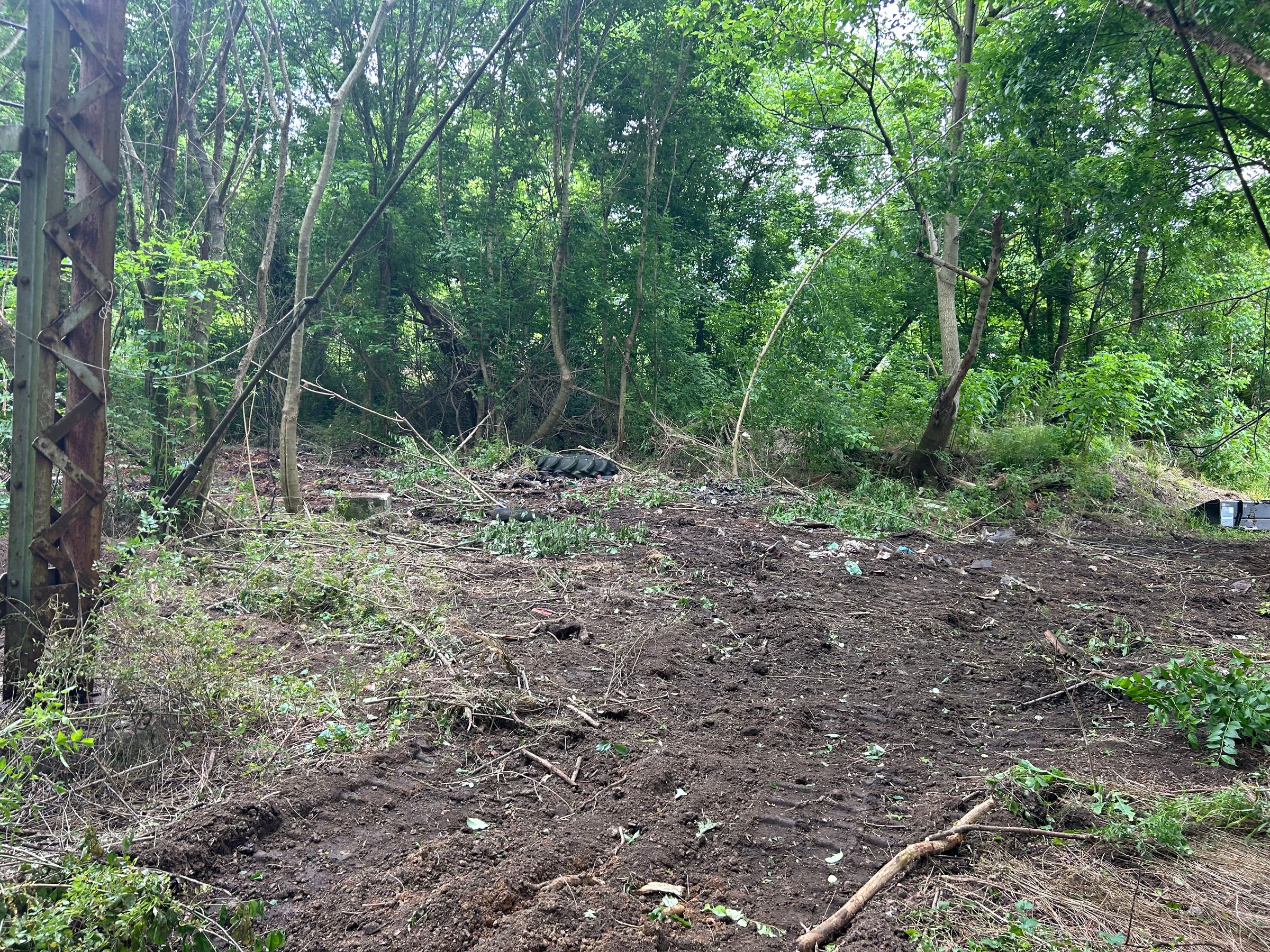 handyman, skid steer, Home improvement, land, business's image