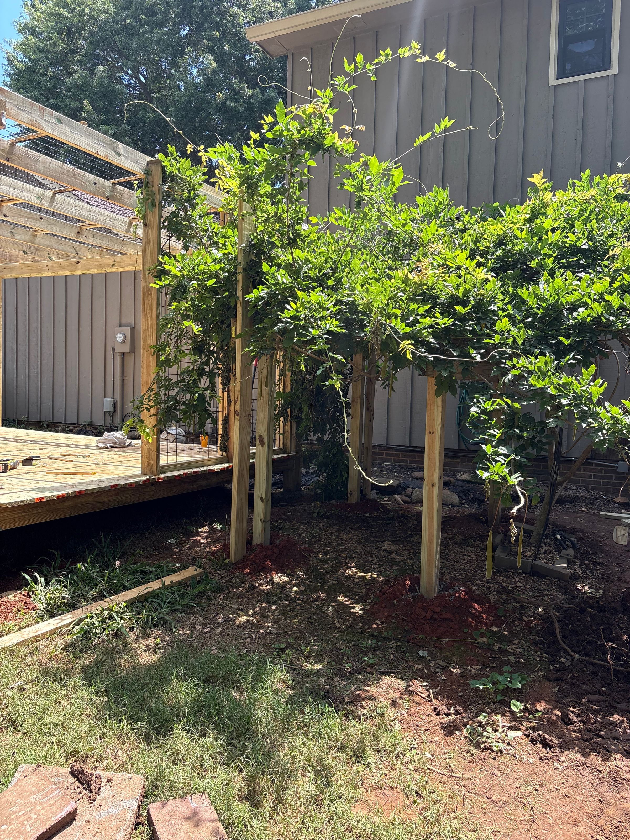 handyman, skid steer, Home improvement, land, business's image