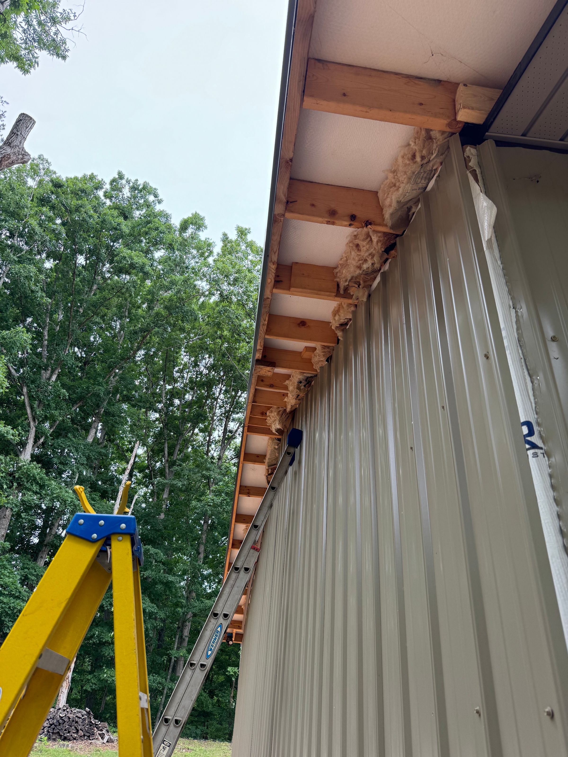 handyman, skid steer, Home improvement, land, business's image