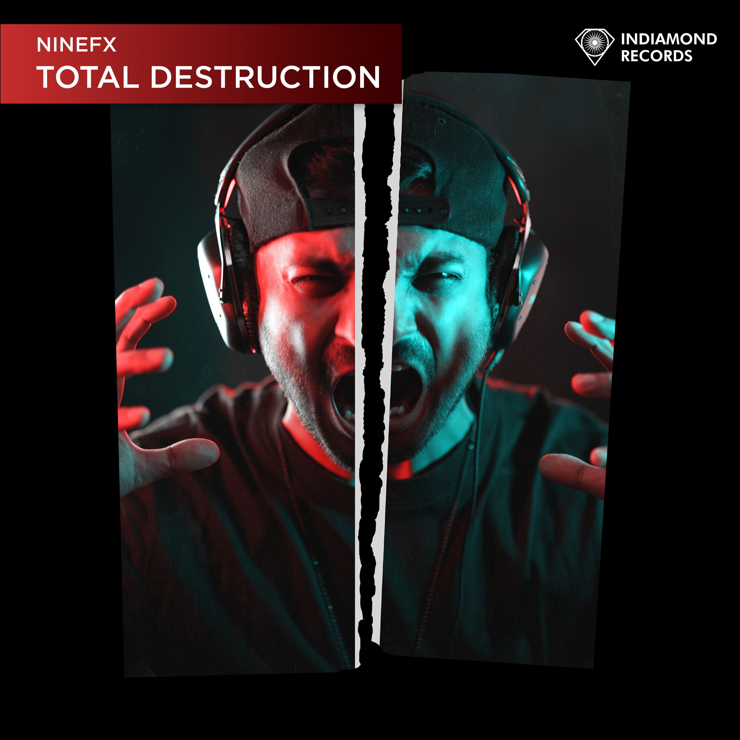 Indiamond Records - Home's image