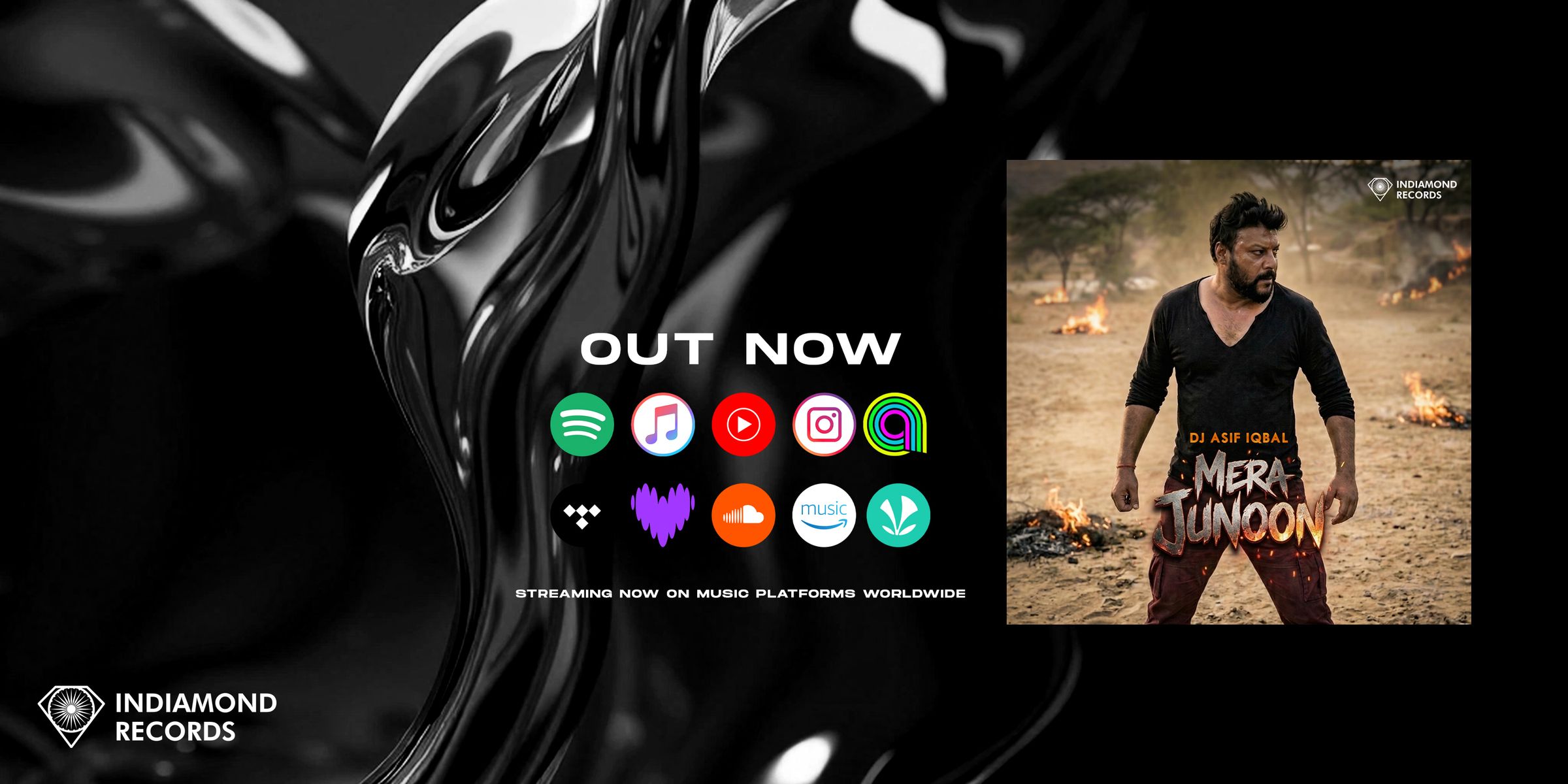 Indiamond Records - Home's image