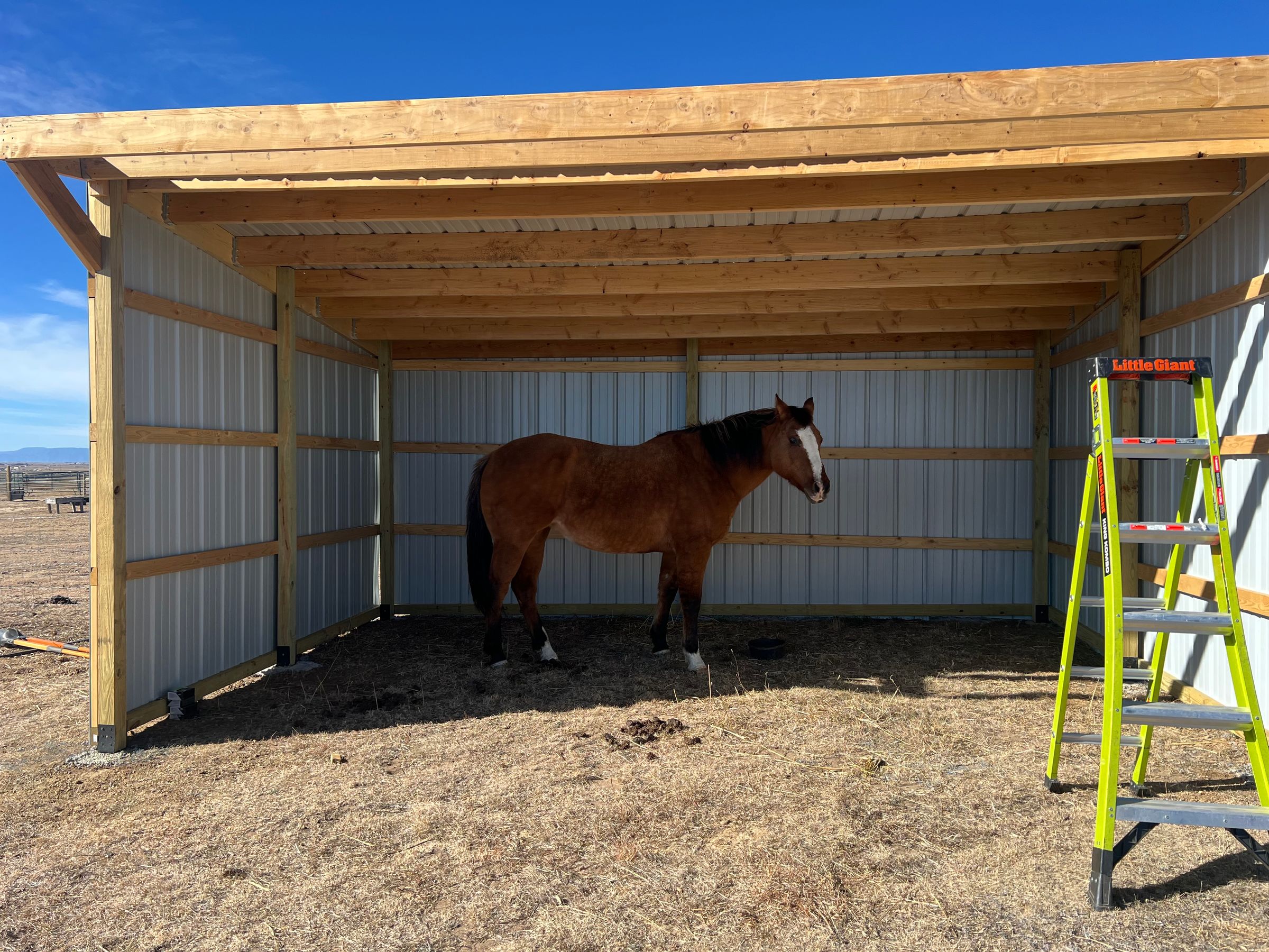 Smiling Horse Construction's image