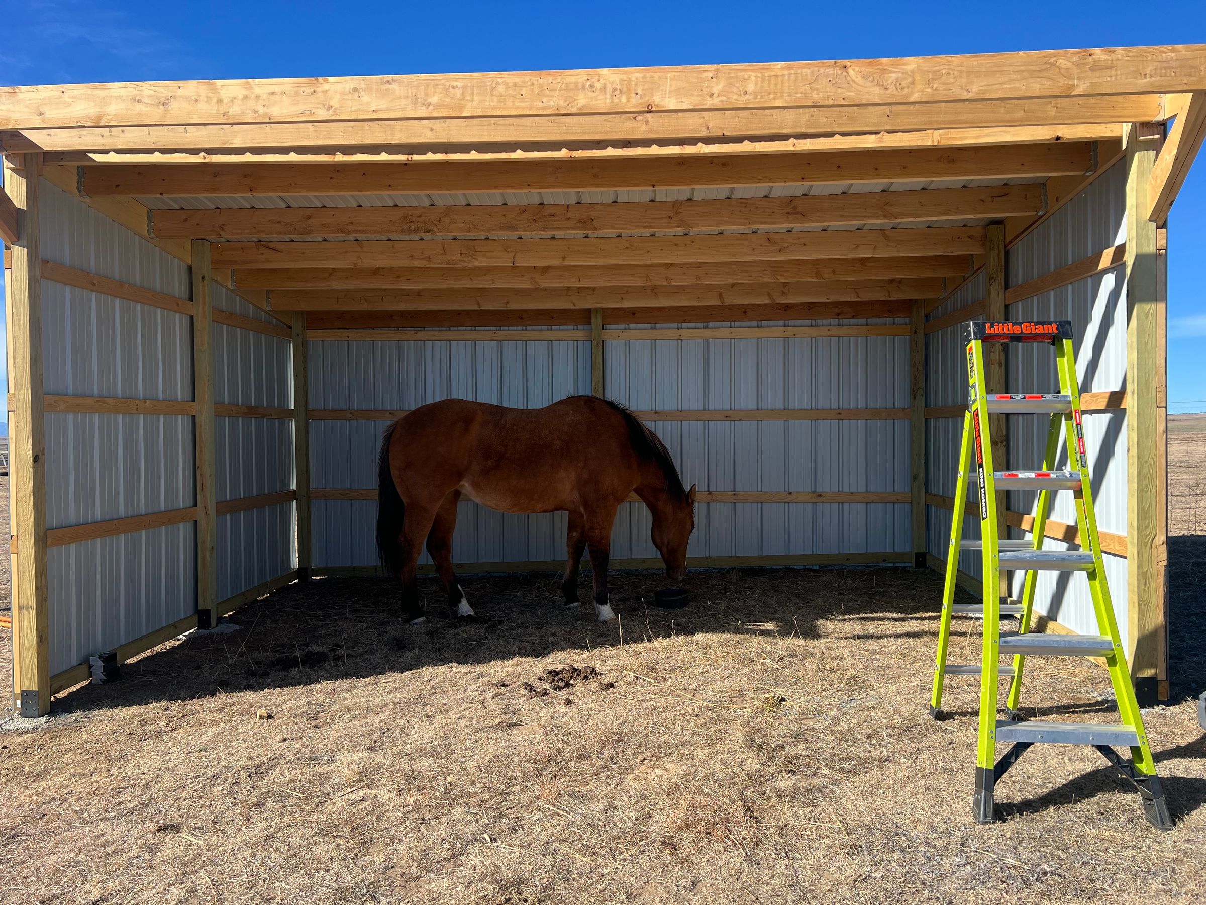 Smiling Horse Construction's image