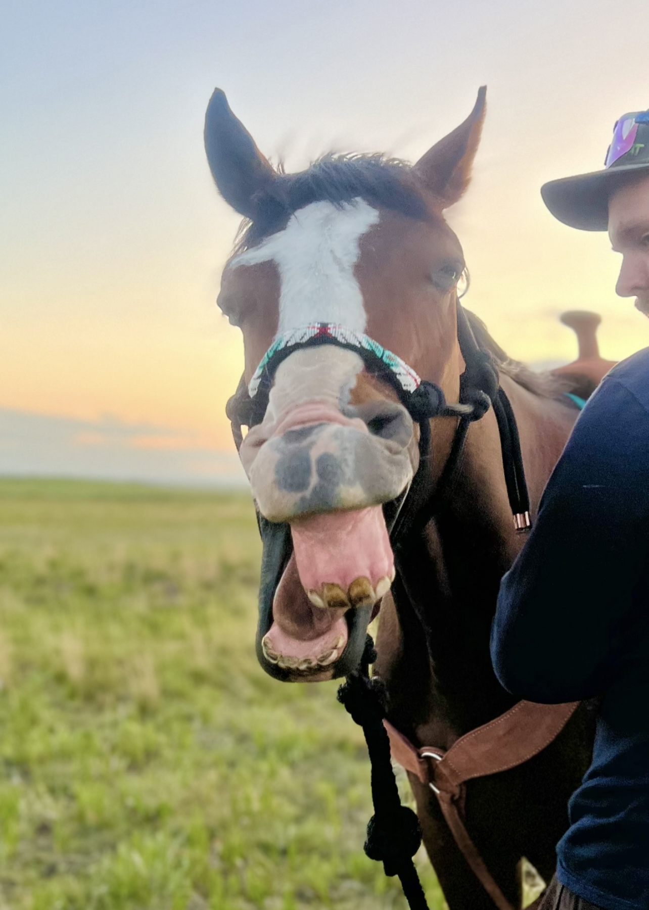 Smiling Horse Construction's image