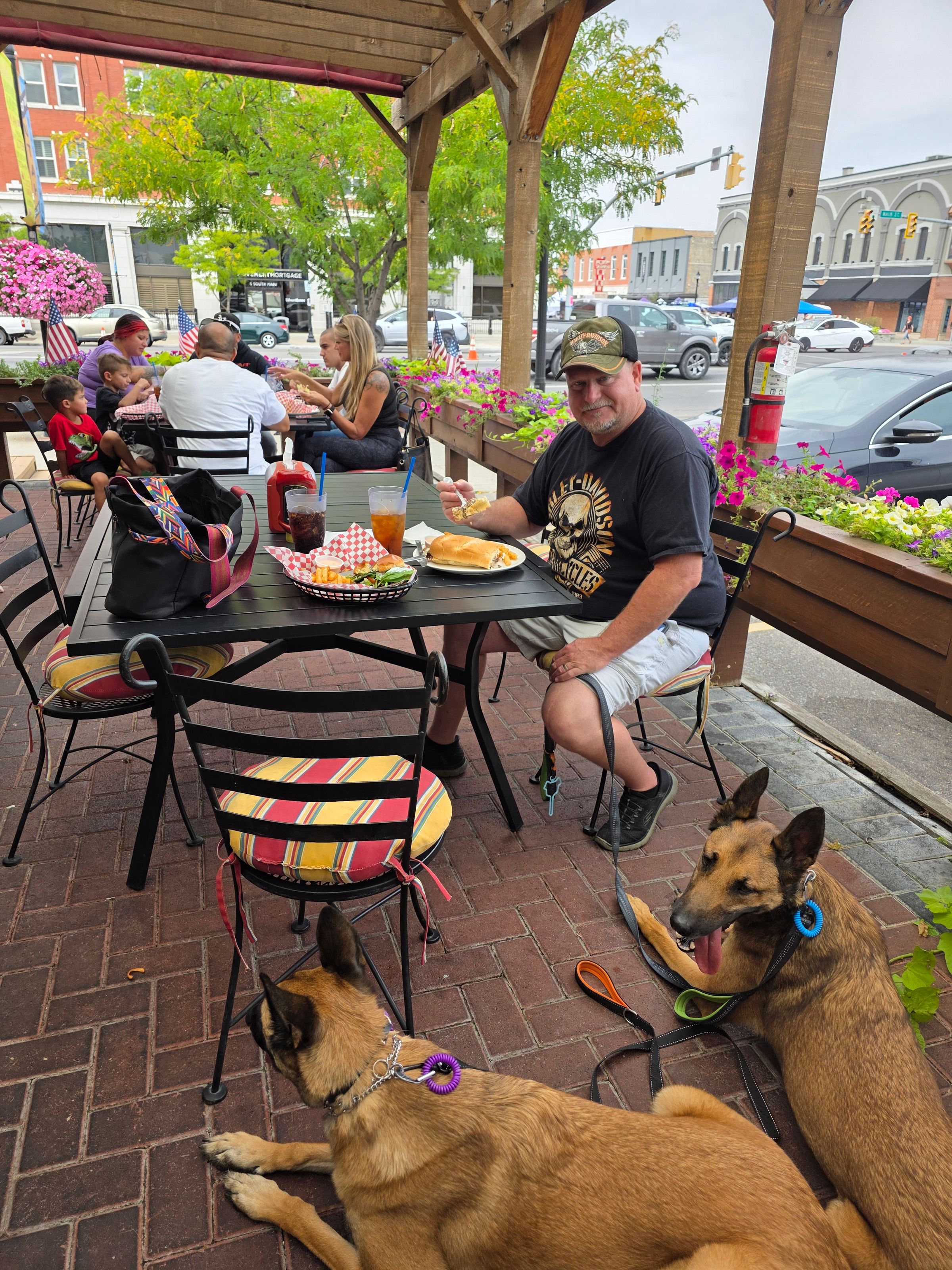 "Reliability isn't about restriction; it’s the key to your dog’s freedom. We proof the work so we can trust the dog." — MalGal Philosophy