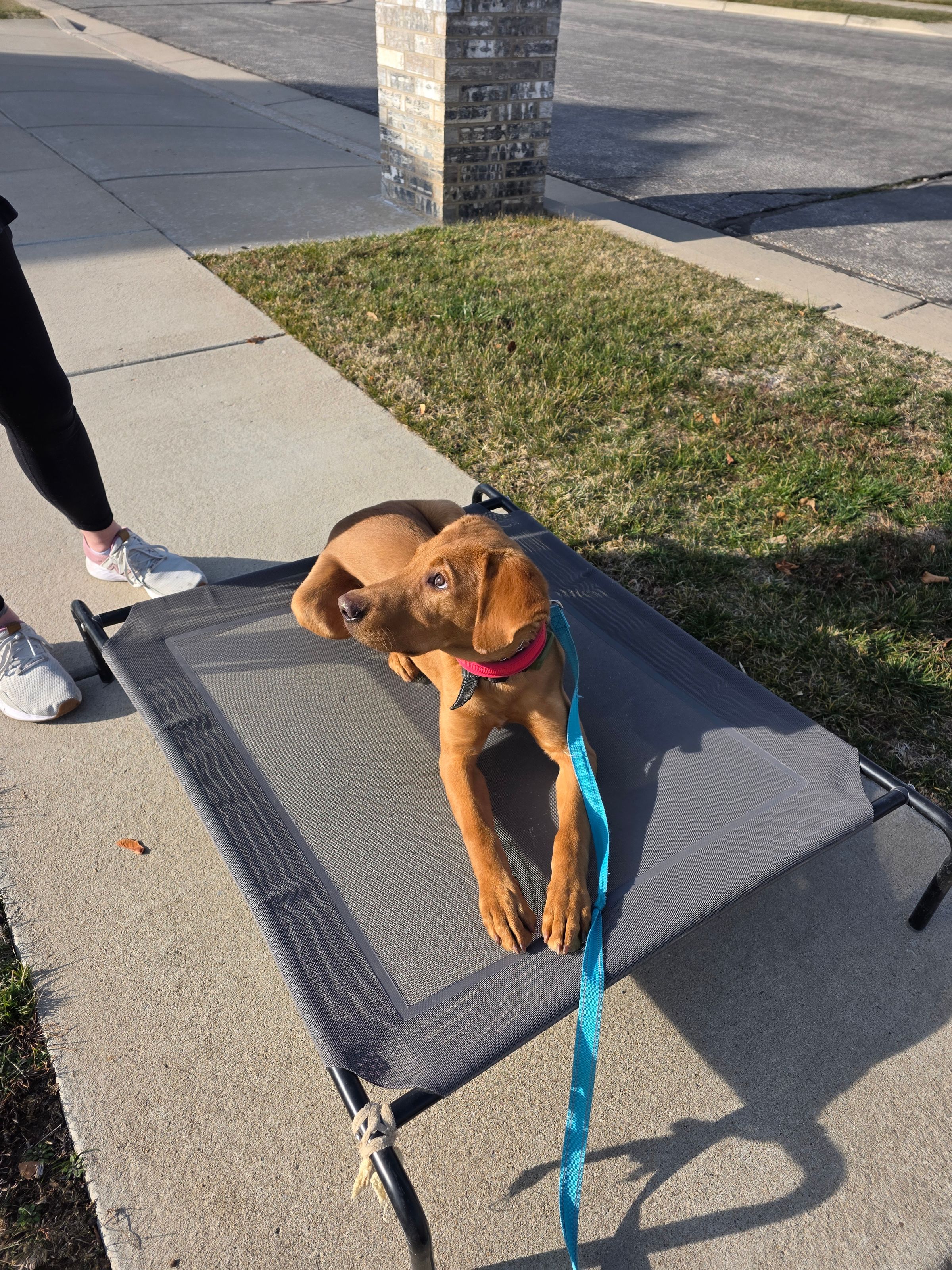 "Discipline is choosing between what you want now and what you want most." — Abraham Lincoln