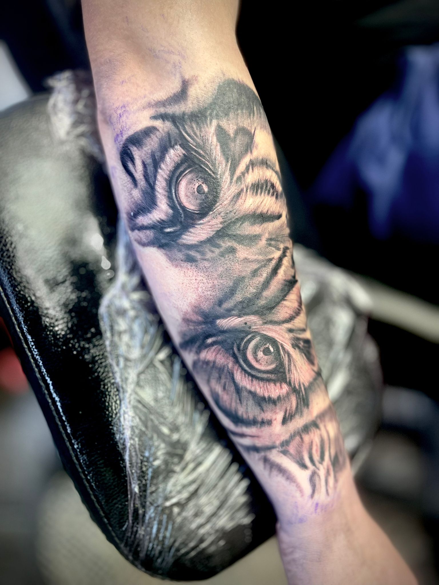 The Ink Siren's image