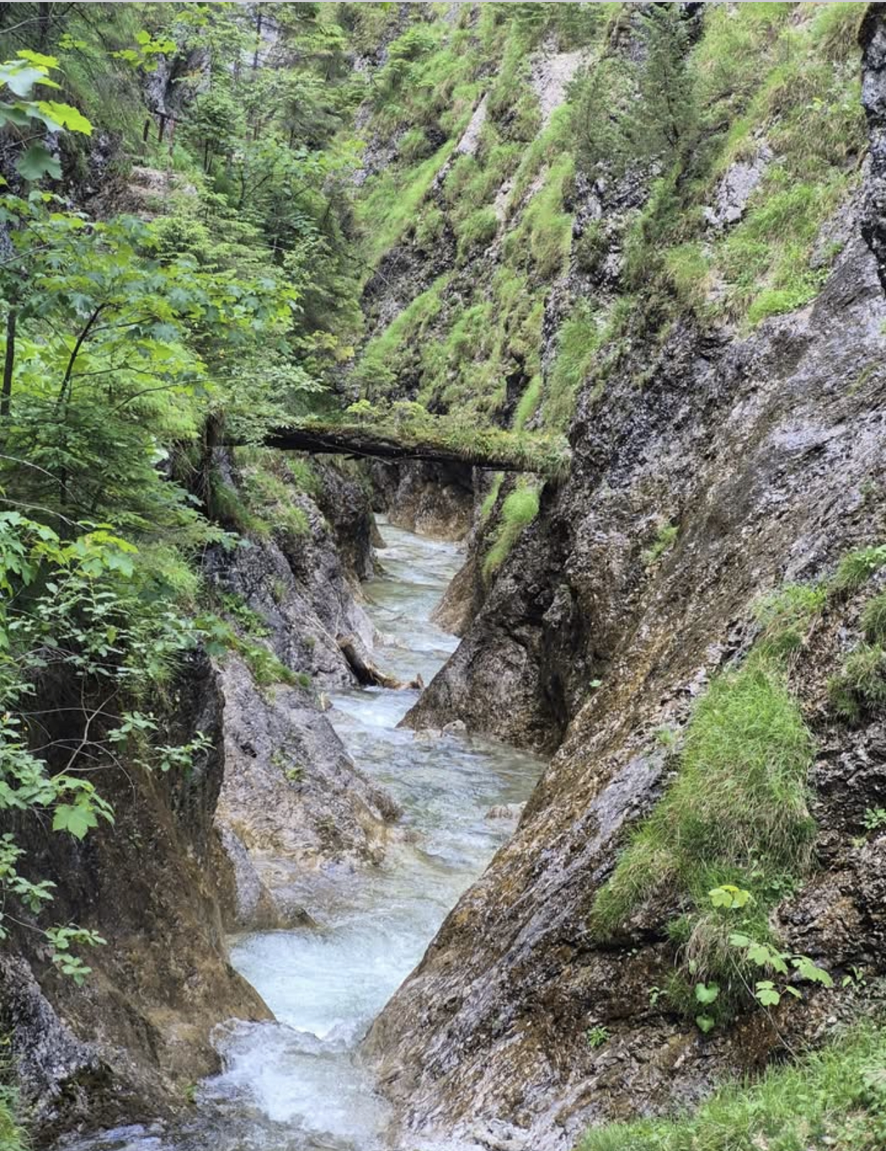 Holistic Wellbeing Retreats | Movement, Mindfulness & Nature's image