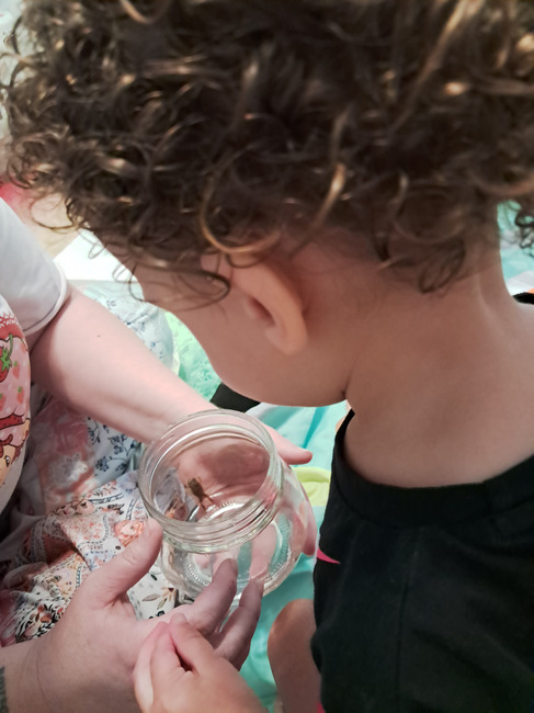 Comfort and Joy Child Development Center's image