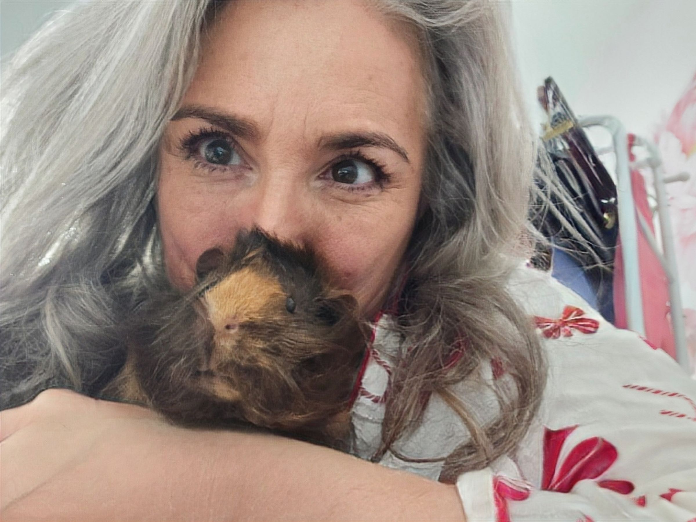 Lou Loves Pets's image