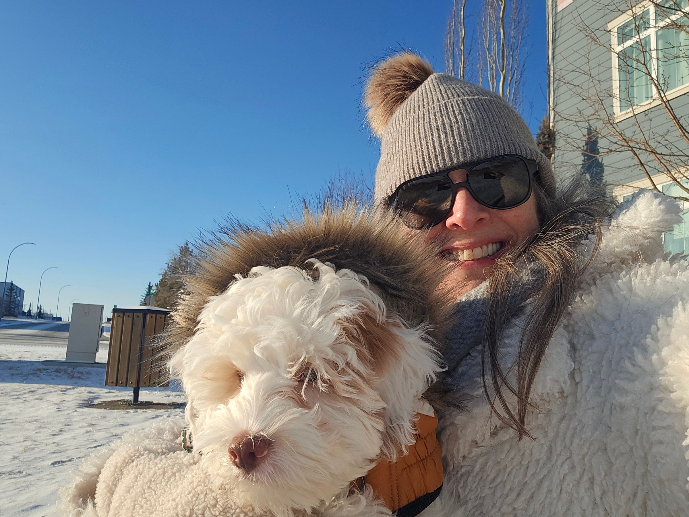 Lou Loves Pets's image