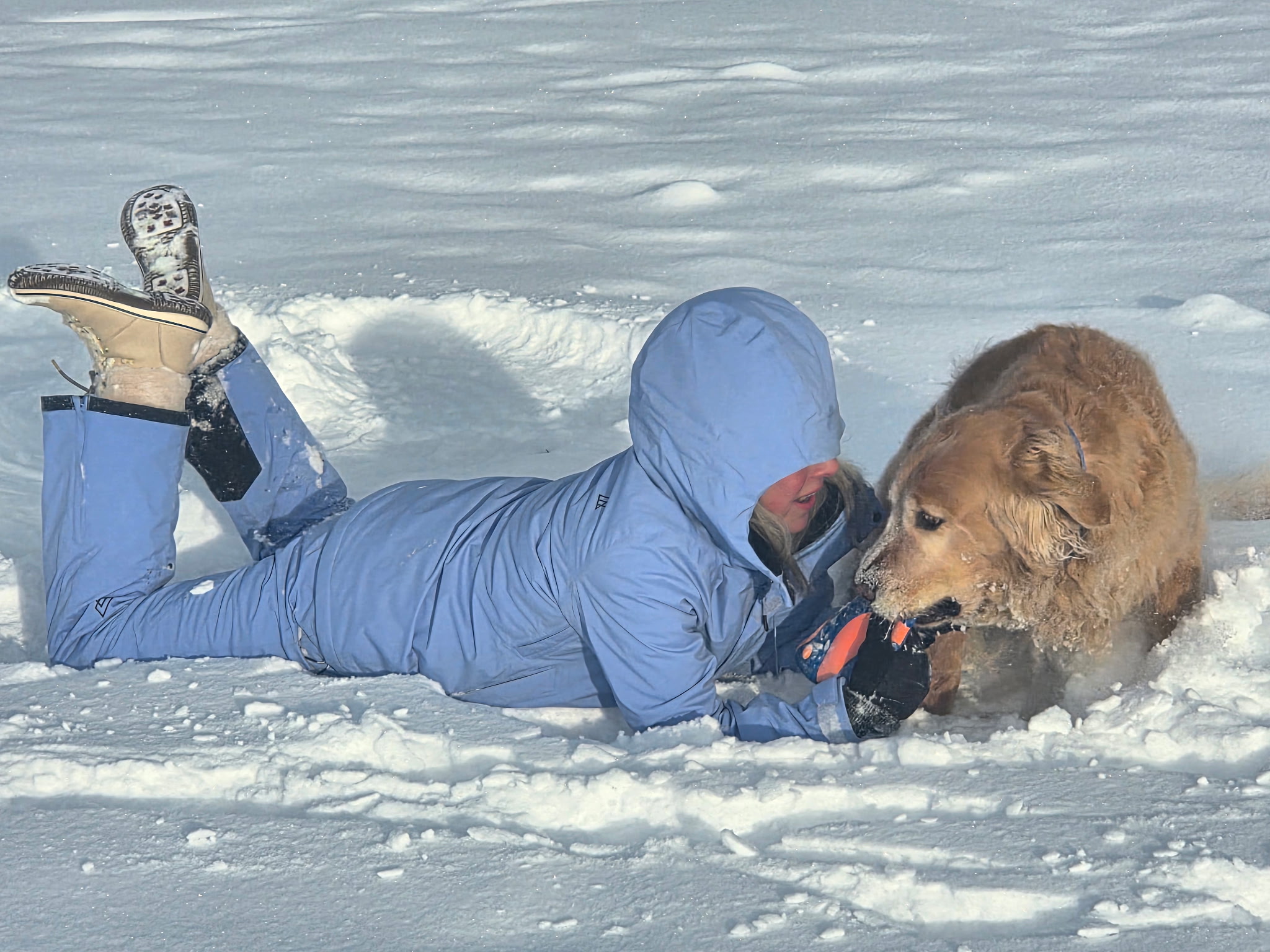 Lou Loves Pets's image