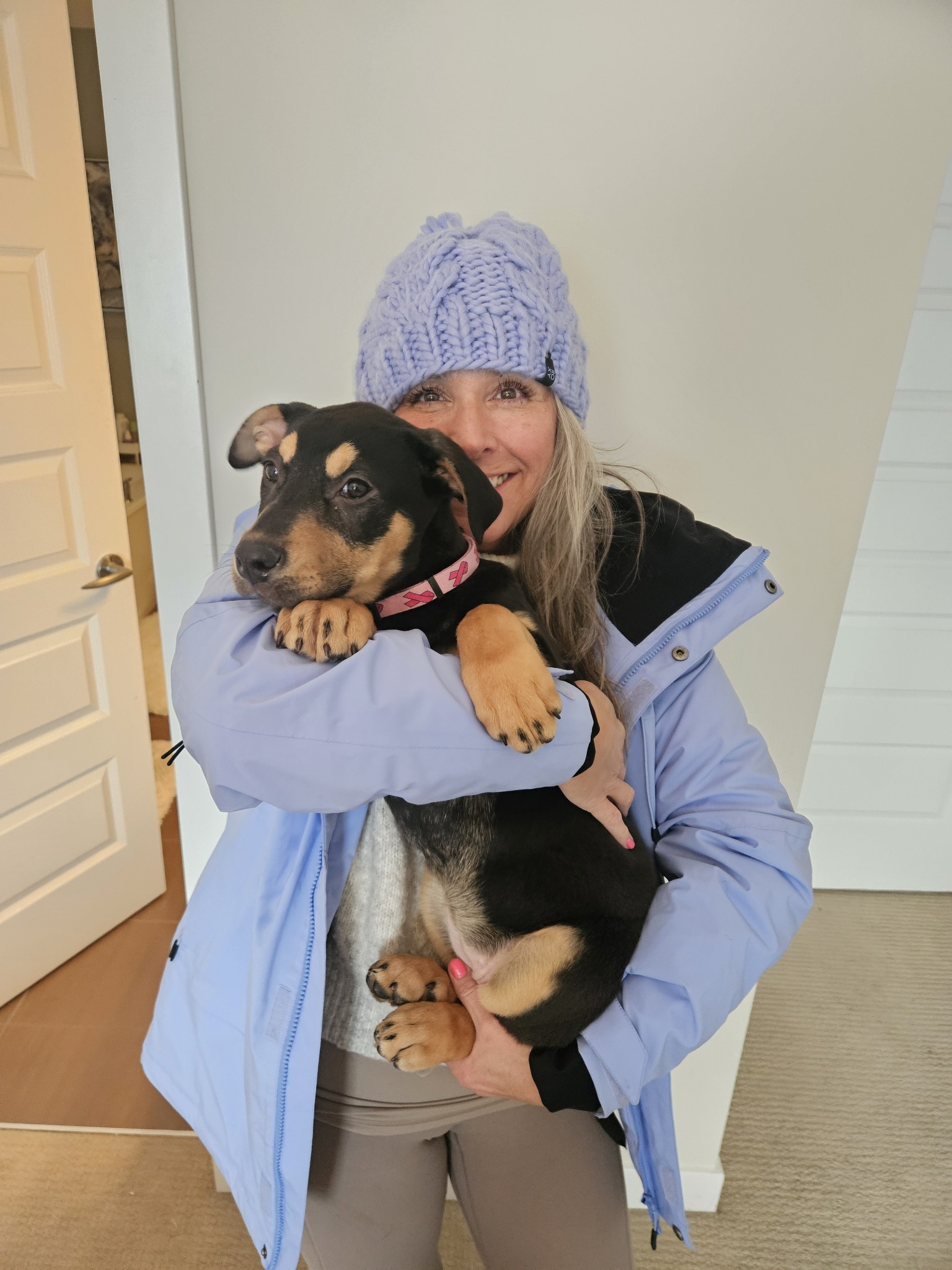 Lou Loves Pets's image