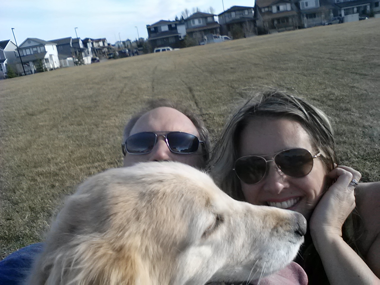 Lou Loves Pets's image