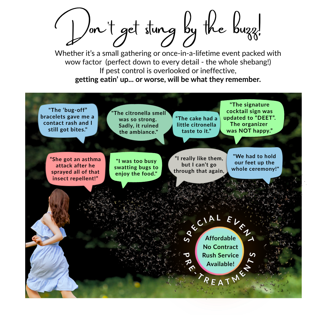 Bye Bye Bites Chapin SC- Pest Control & Outdoor Fogging's image